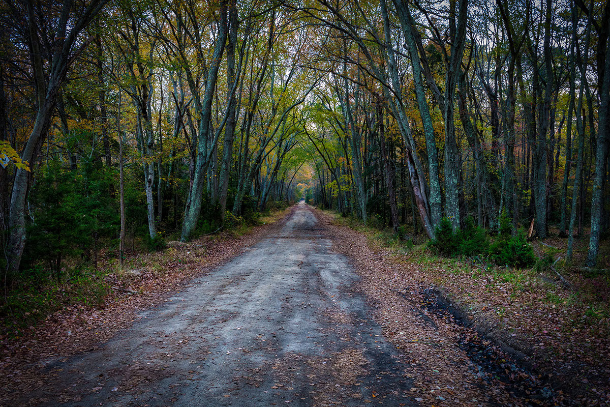 Cumberland, NJ