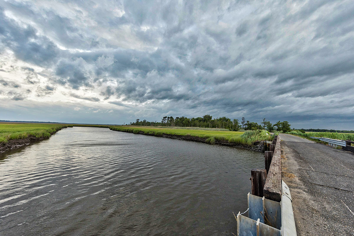 Turkey Point, NJ Landscape
