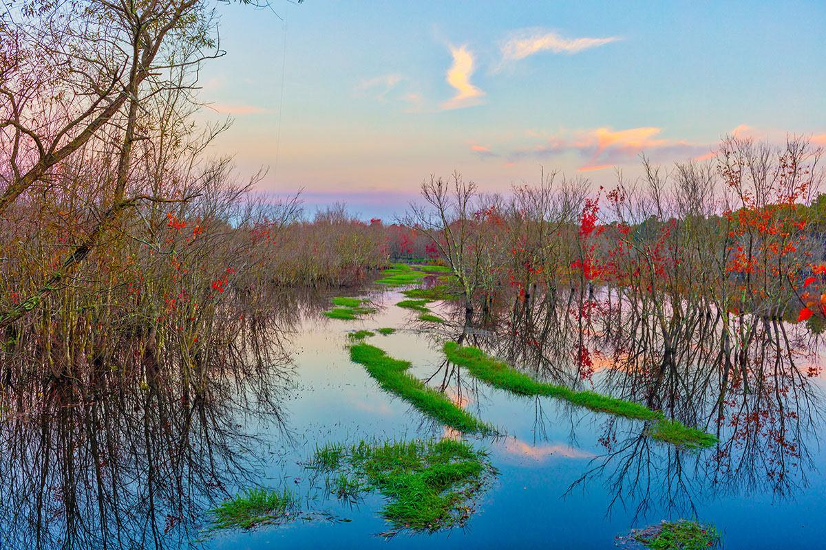 Cumberland Pond, NJ