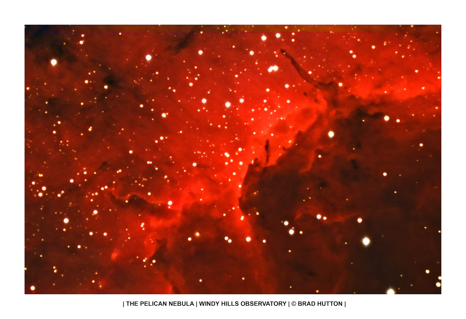 Pelican Nebula