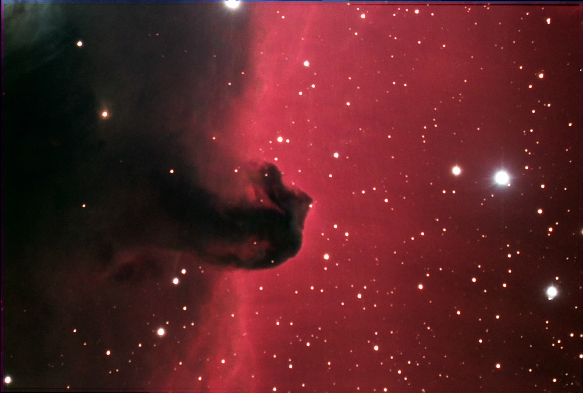 Horsehead
