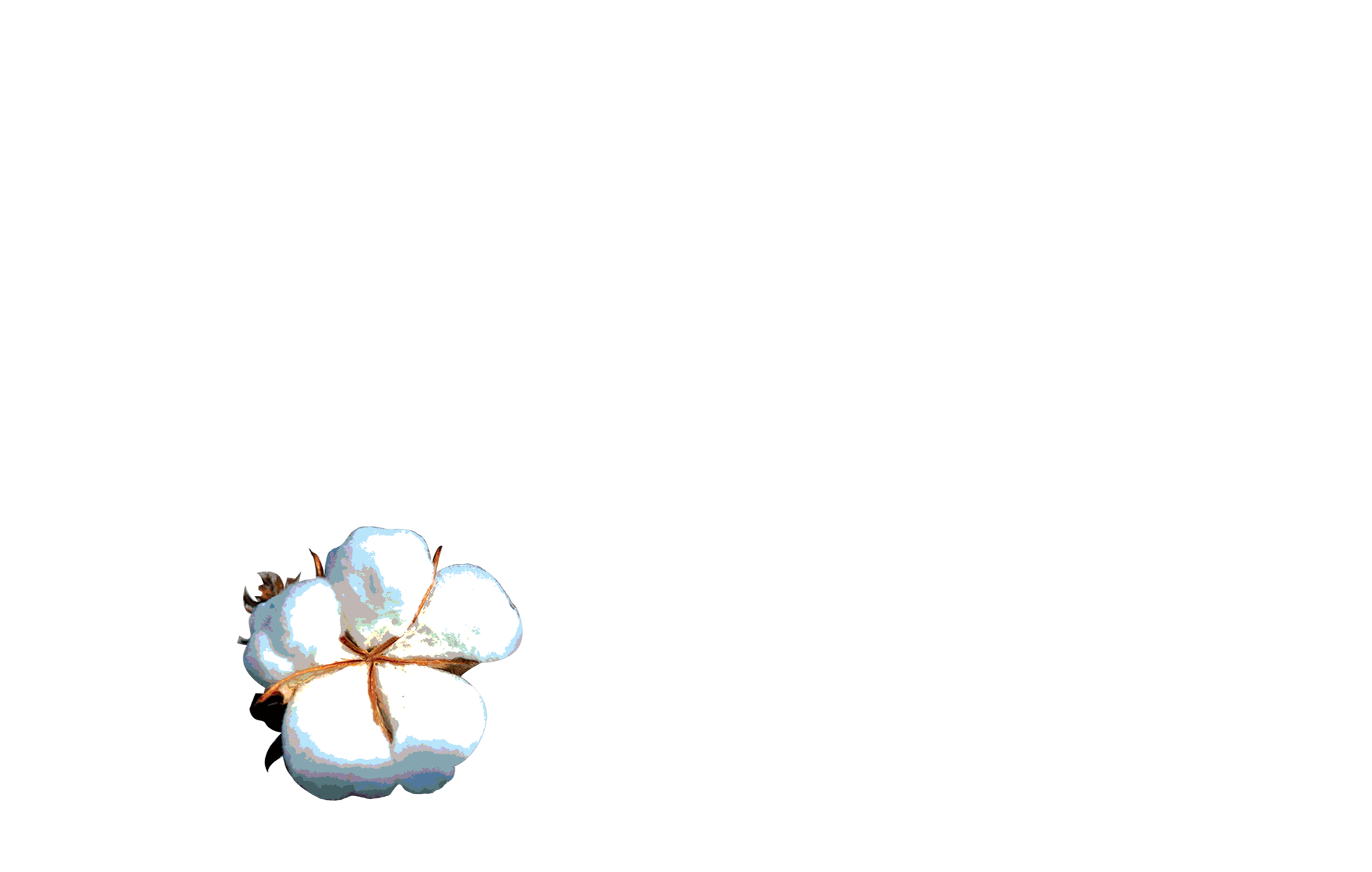 Dana Jordan