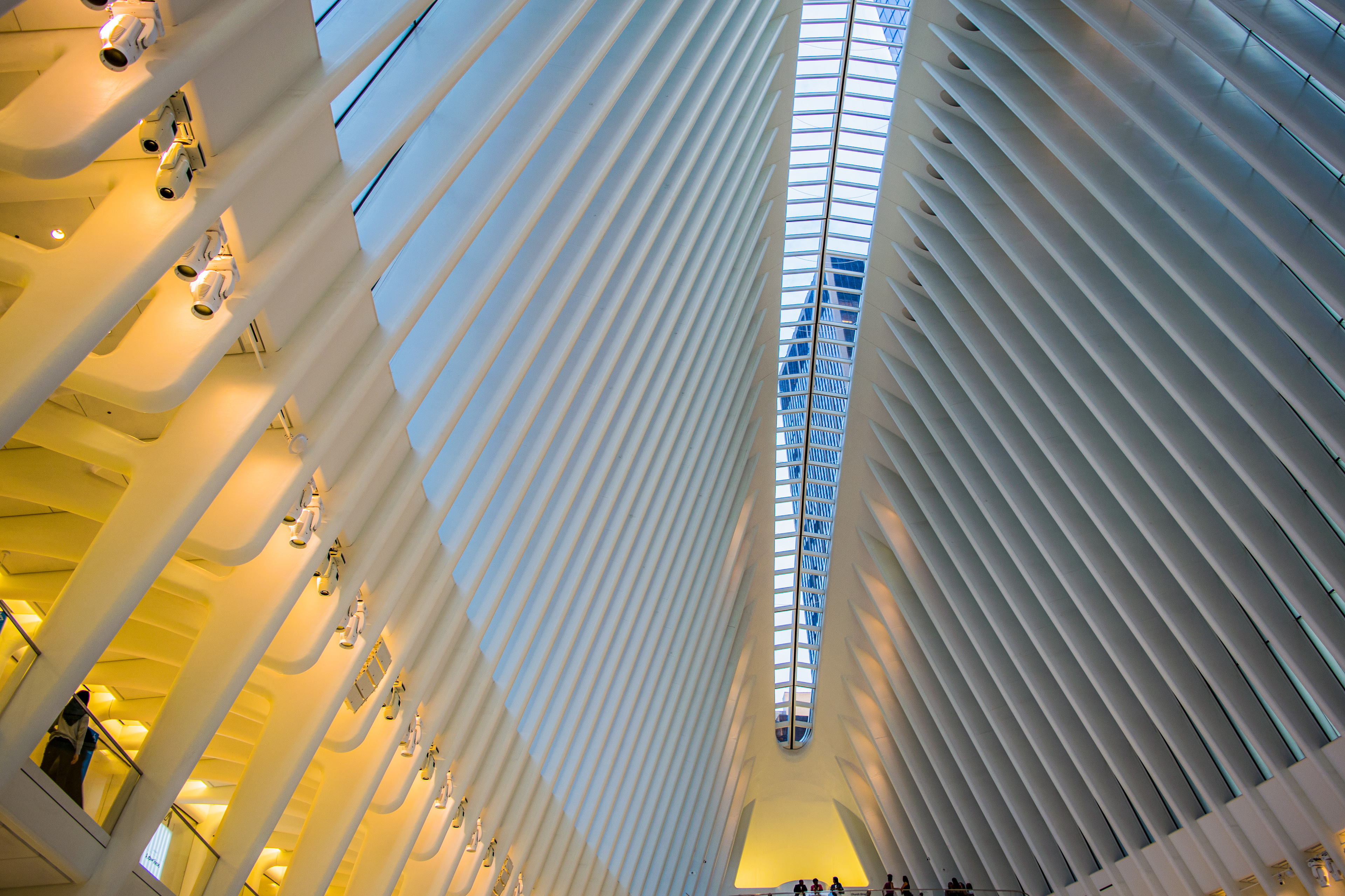 Oculus Transportation Hub, New York