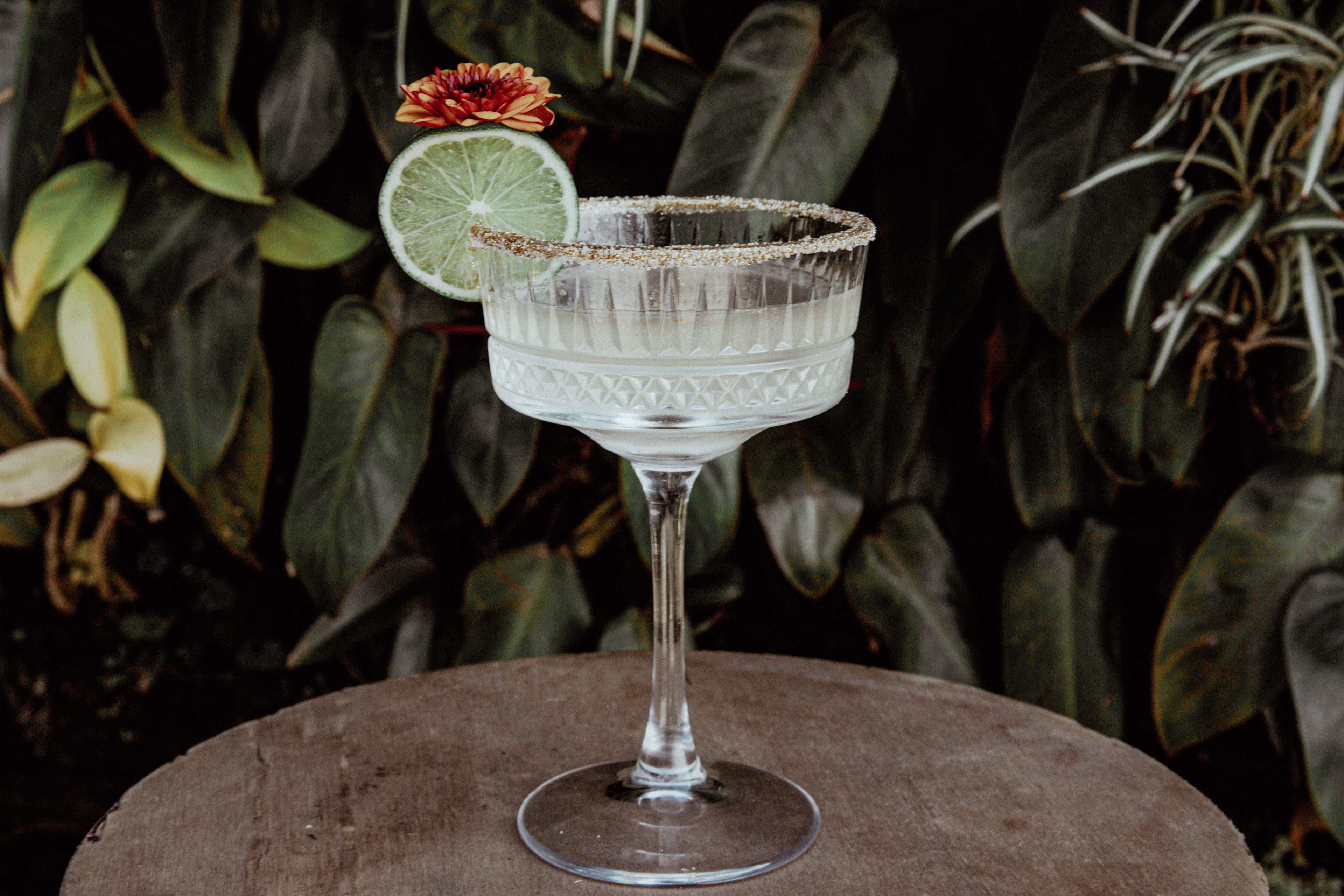 Margarita Tradicional