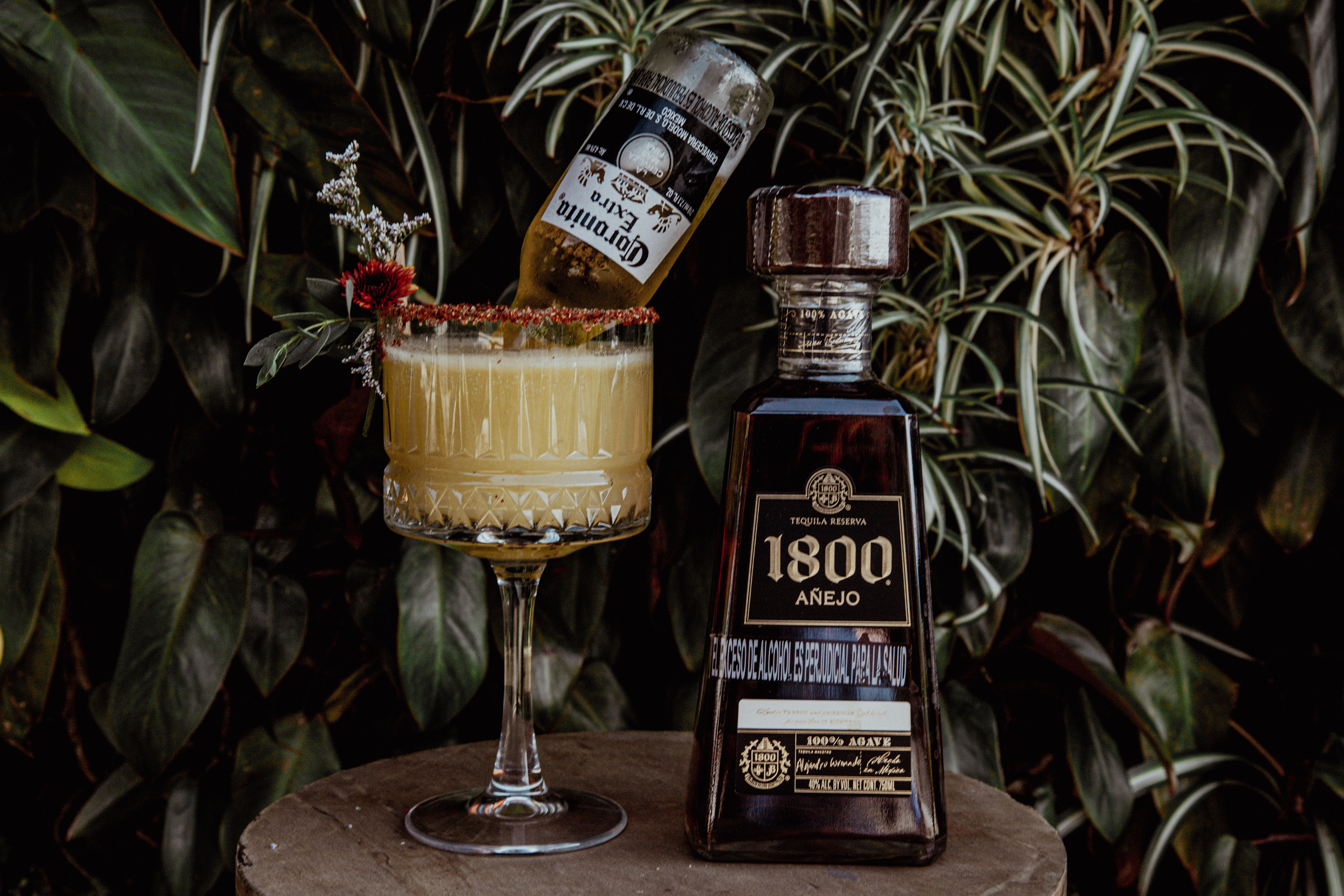 Margarita Corona