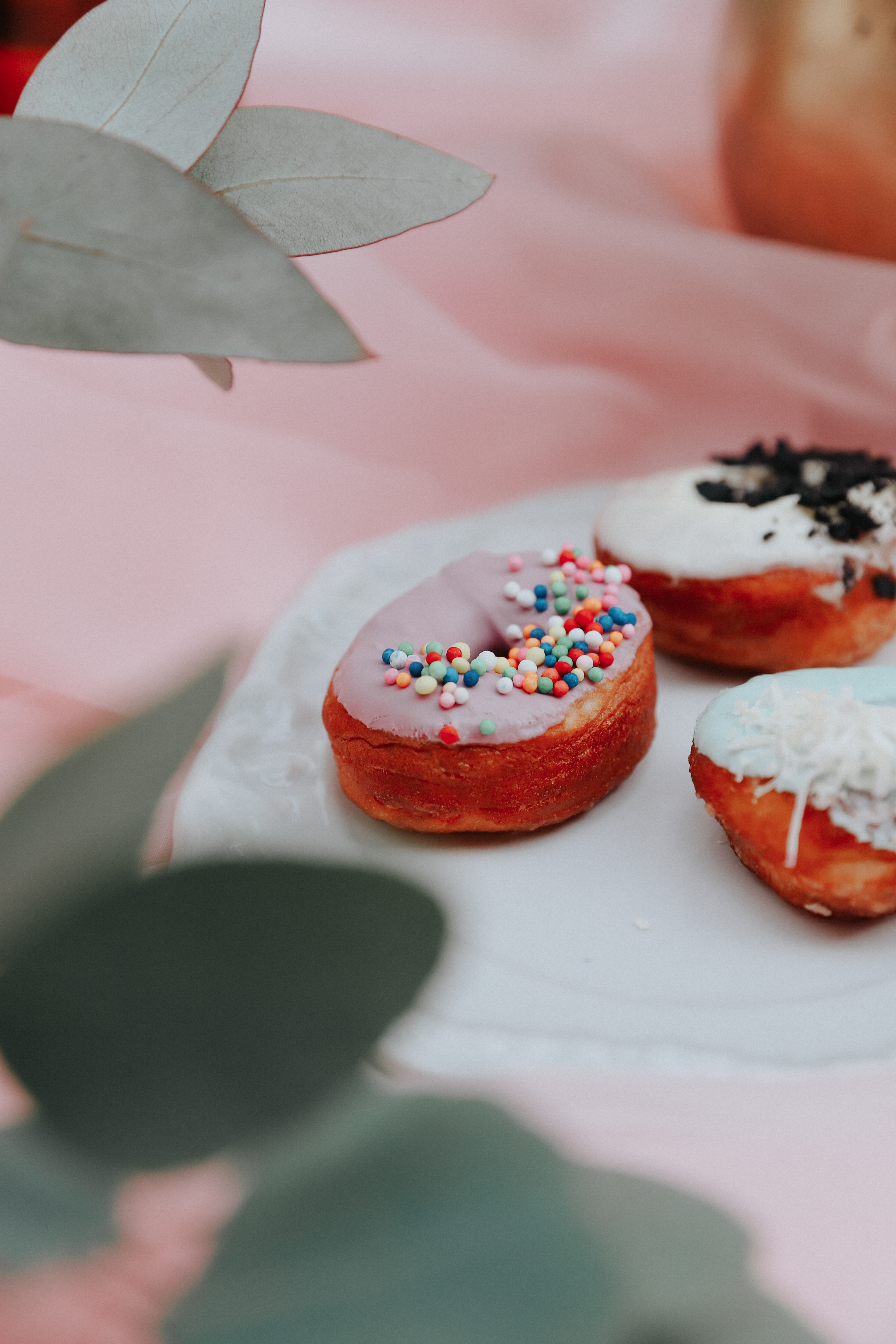 Donuts Toppings