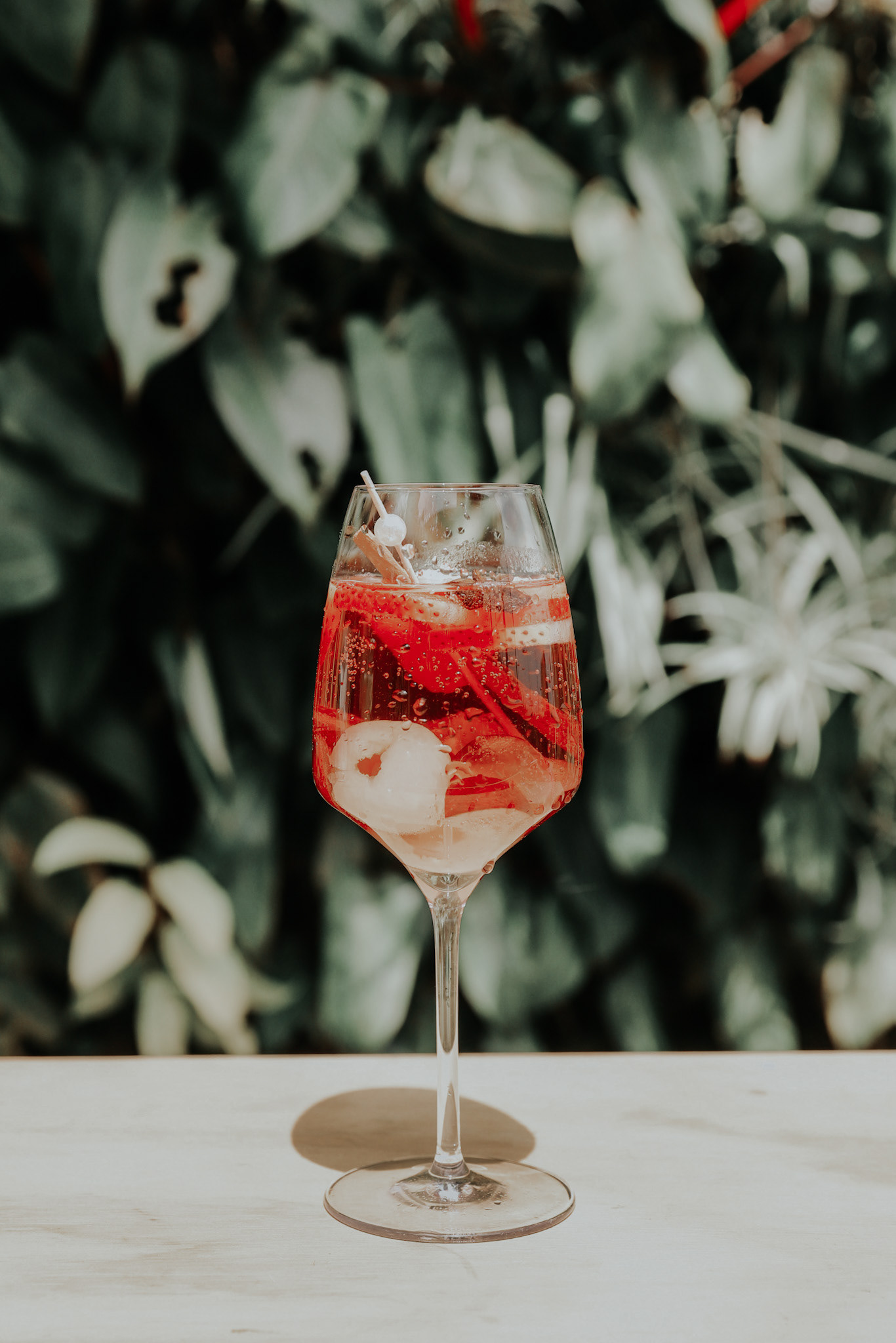Sangria Rose