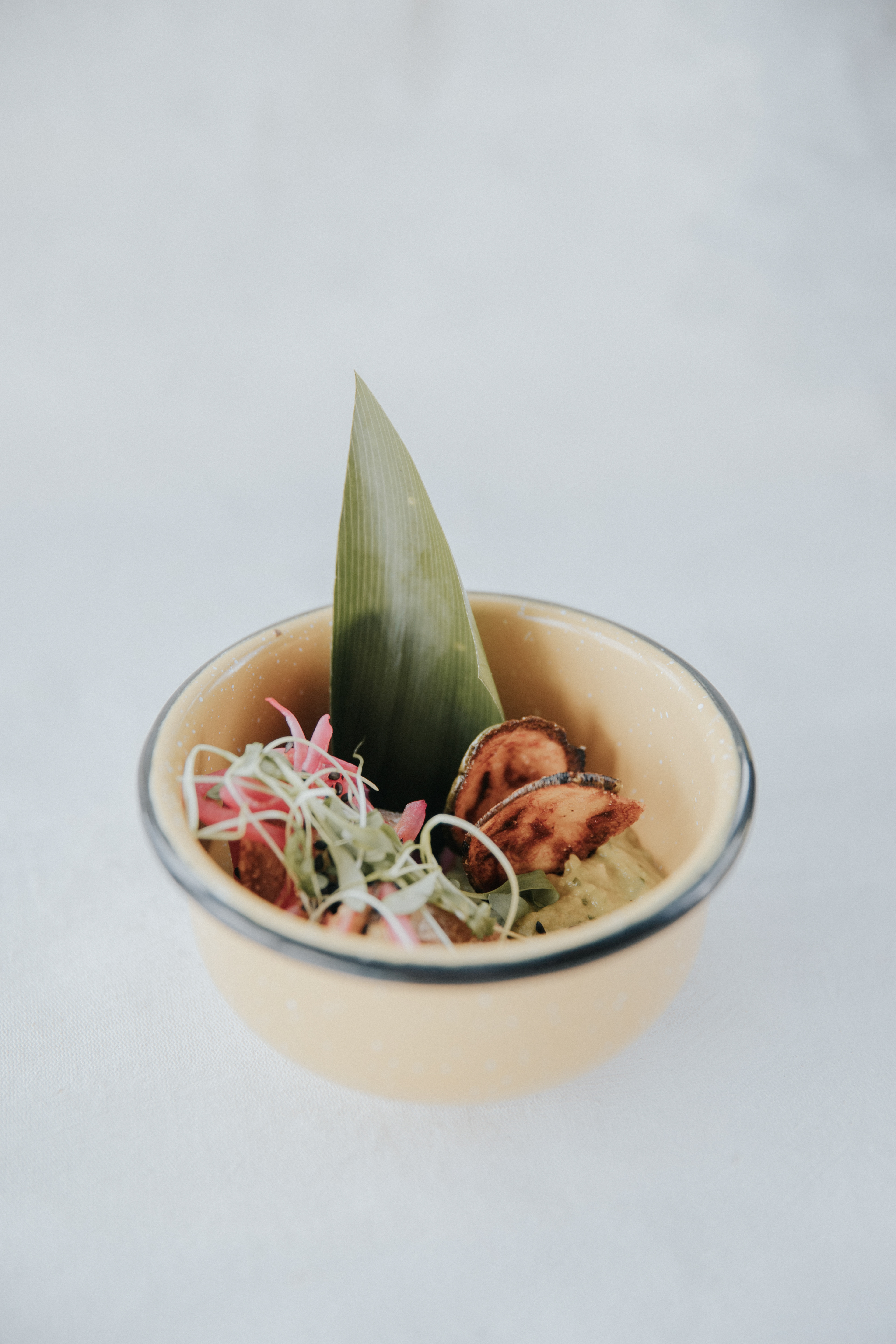 Ceviche de Chicharrón Mini