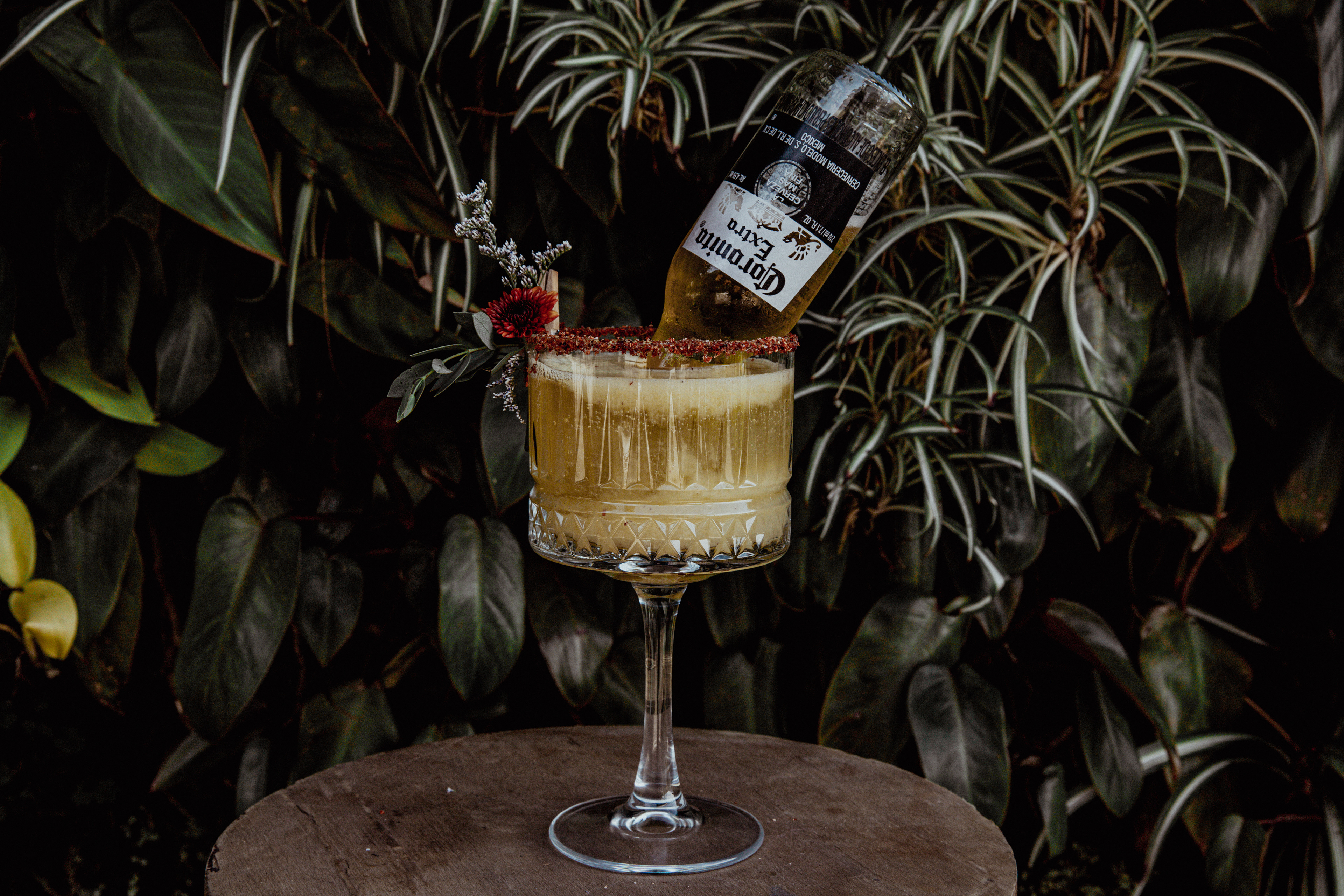 Margarita Corona