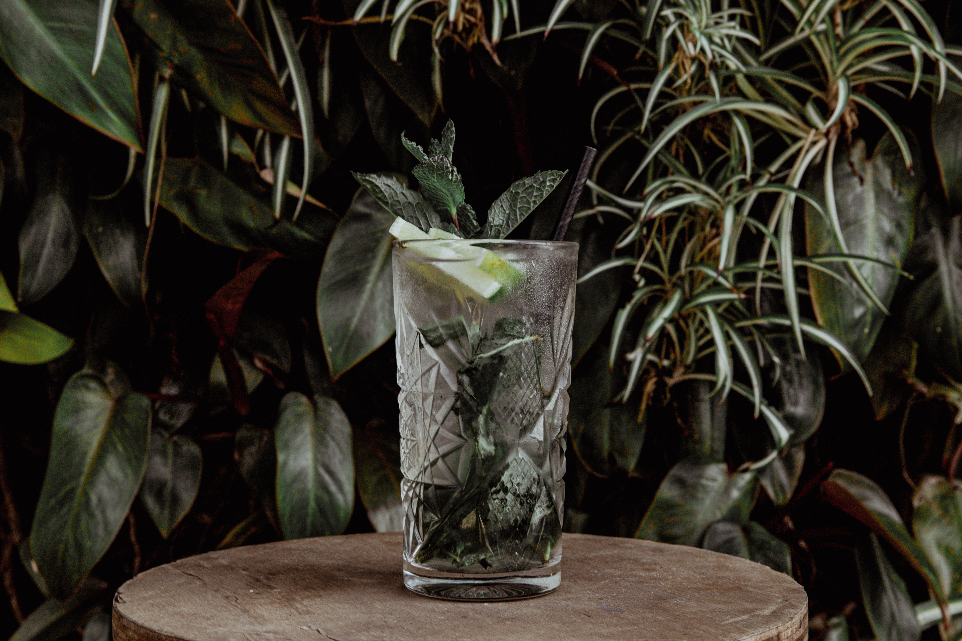 Mojito Tradicional