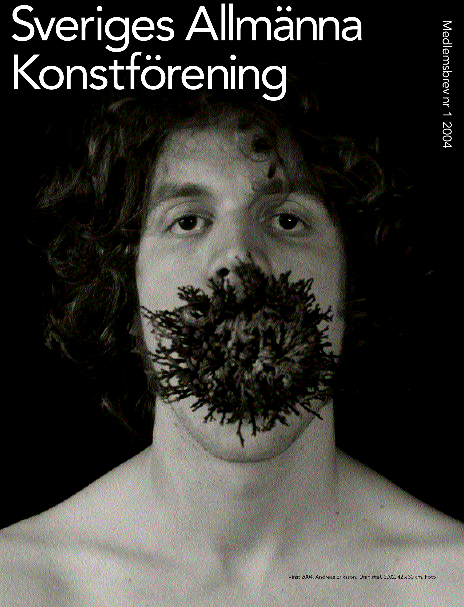 Graphic – Sveriges Allmänna Konstförening – Roth Design Studio