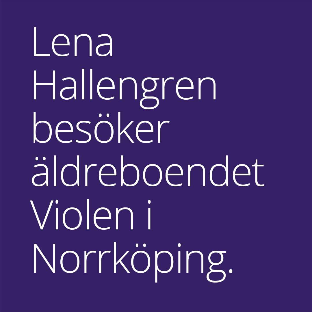 Charlotte Roth Graphic – Government Offices of Sweden – Roth Design Studio