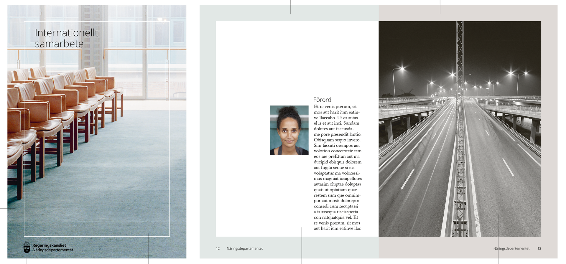 Graphic – Government Offices of Sweden – Roth Design Studio