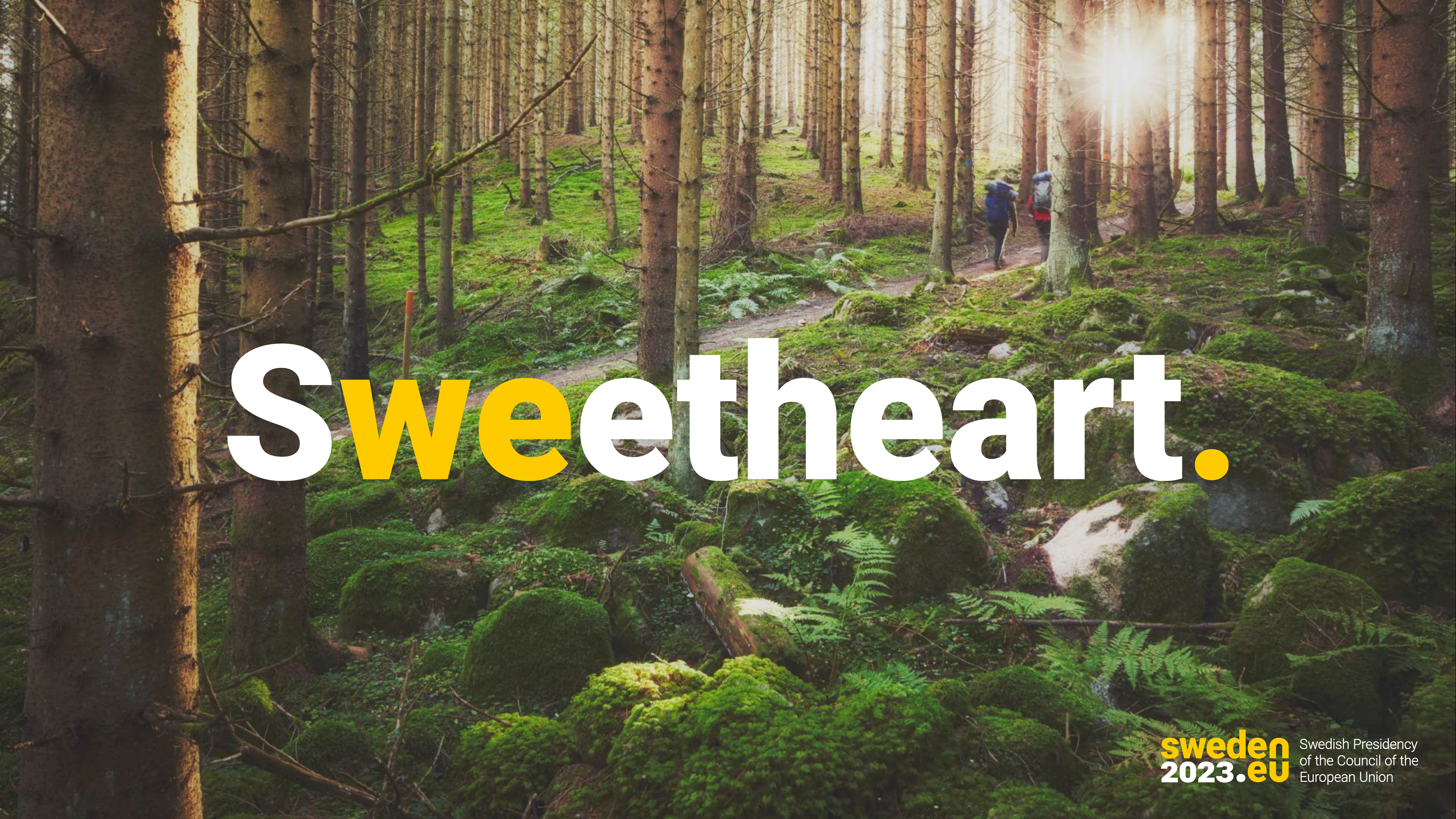 Graphic – Swedish Presidency of the EU 2023 – Roth Design Studio
