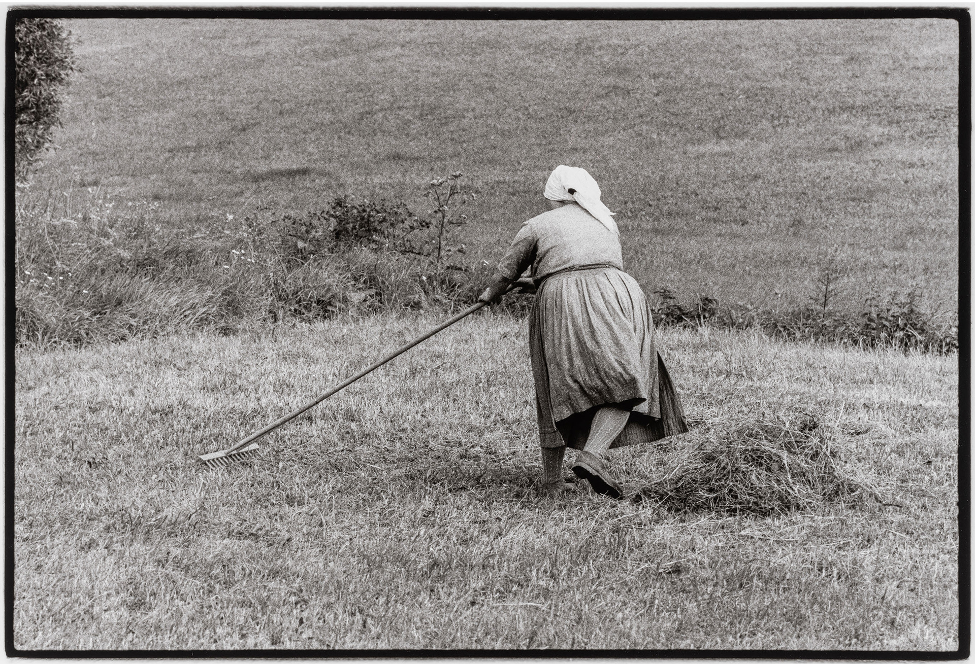 Bäuerin beim Rechen, 1975/76