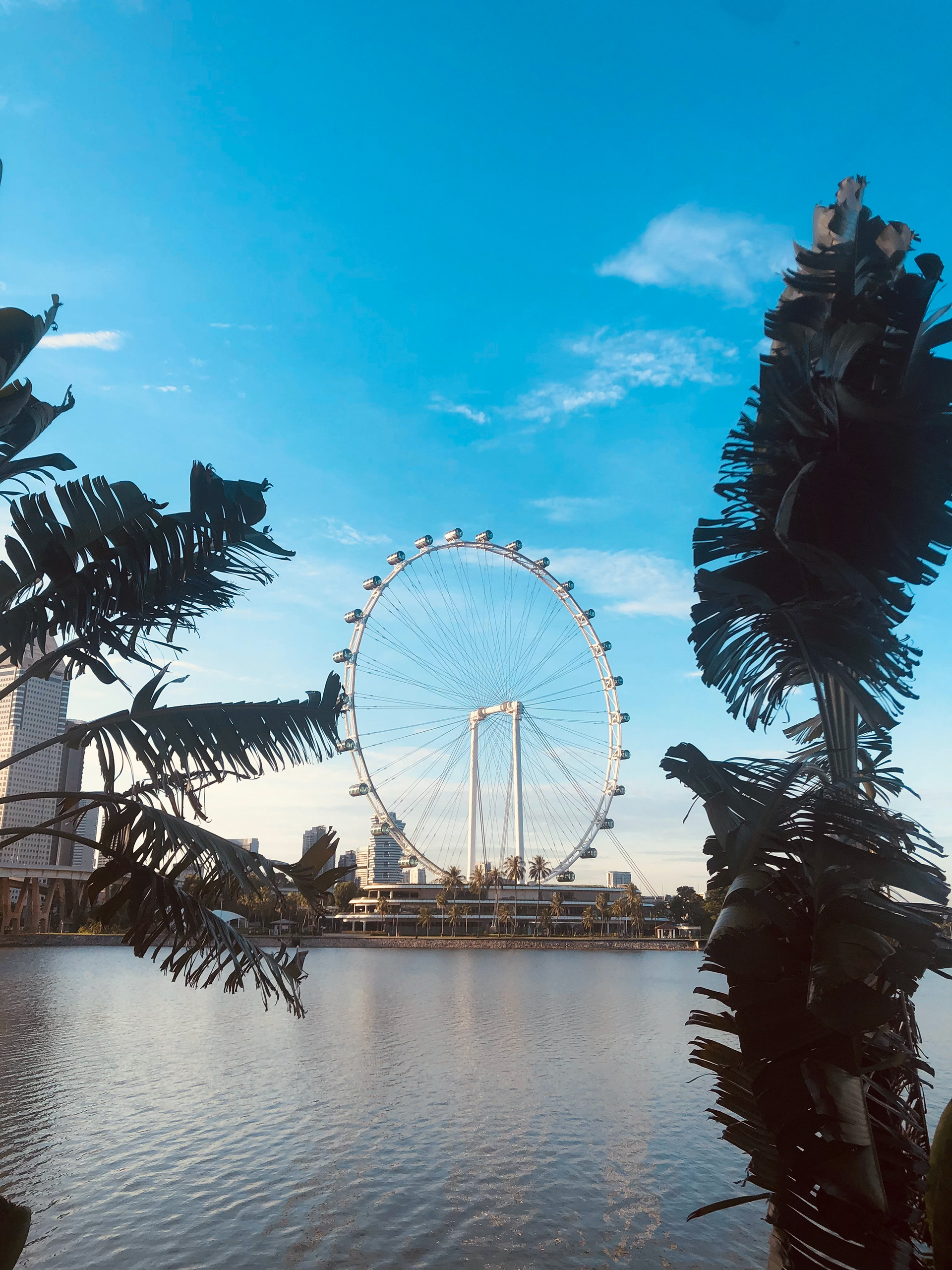 Spinning dreams against the Singapore skyline β where every twirl tells a story. π‘β¨