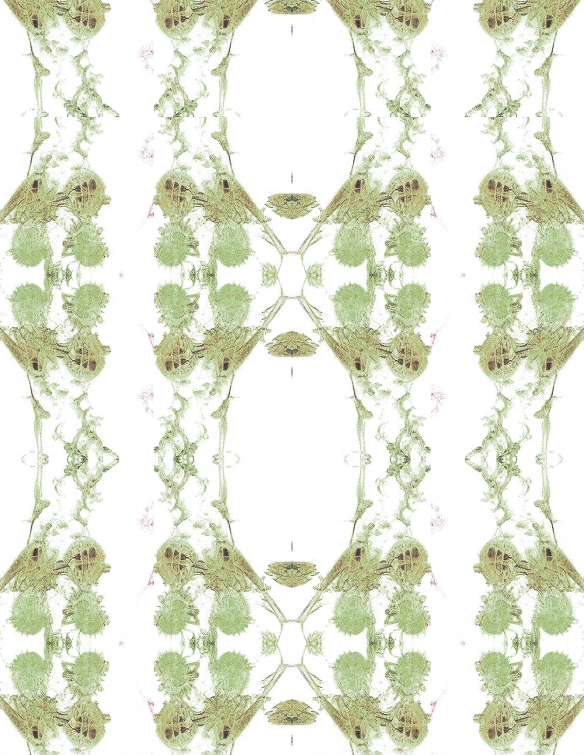 S#0016 "NOONWRAITH" pattern.