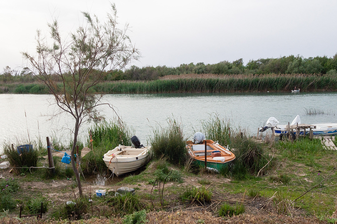 Awkward beauty-Western Peloponnese