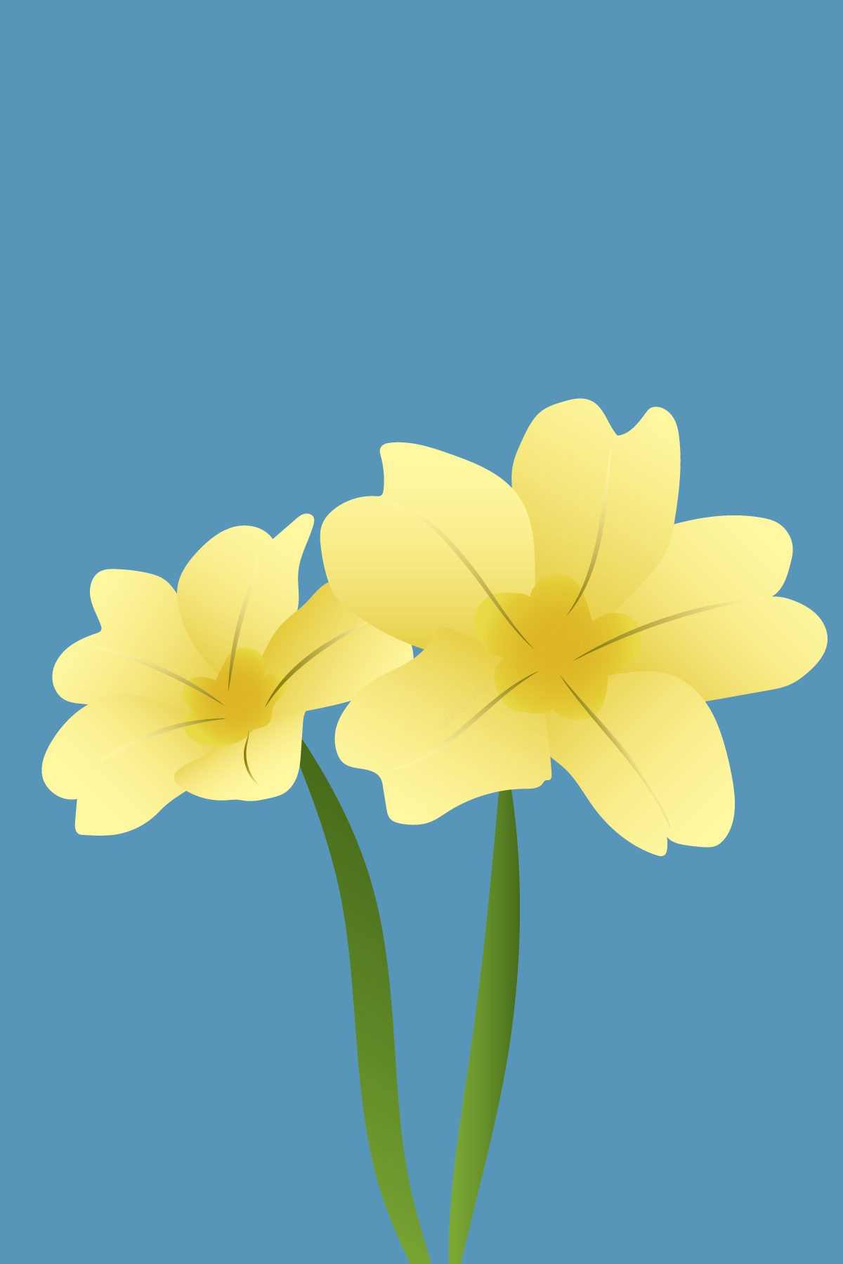 Ireland Currency Project: Primula Vulgaris