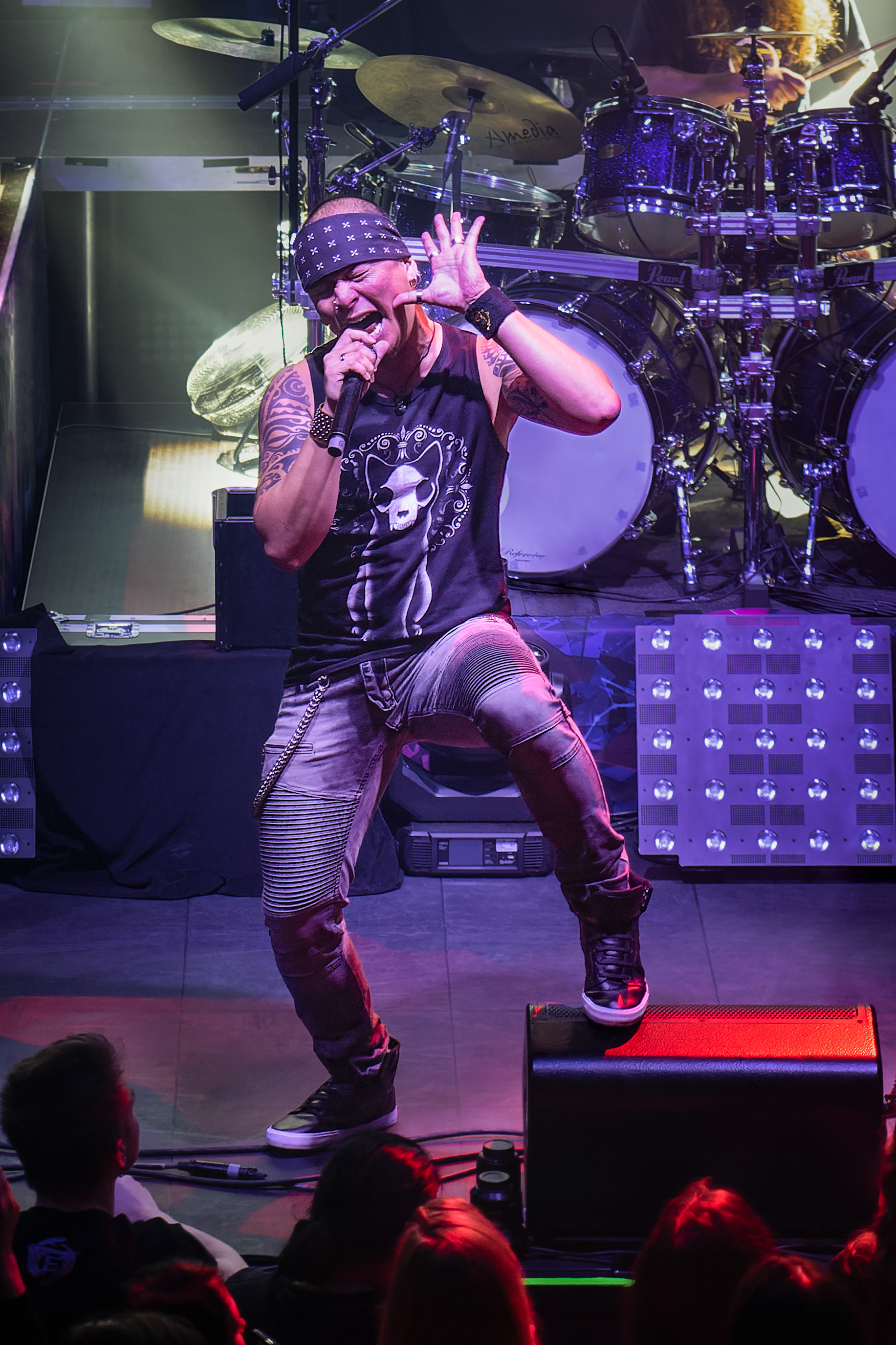 George Oosthoek - Mayan