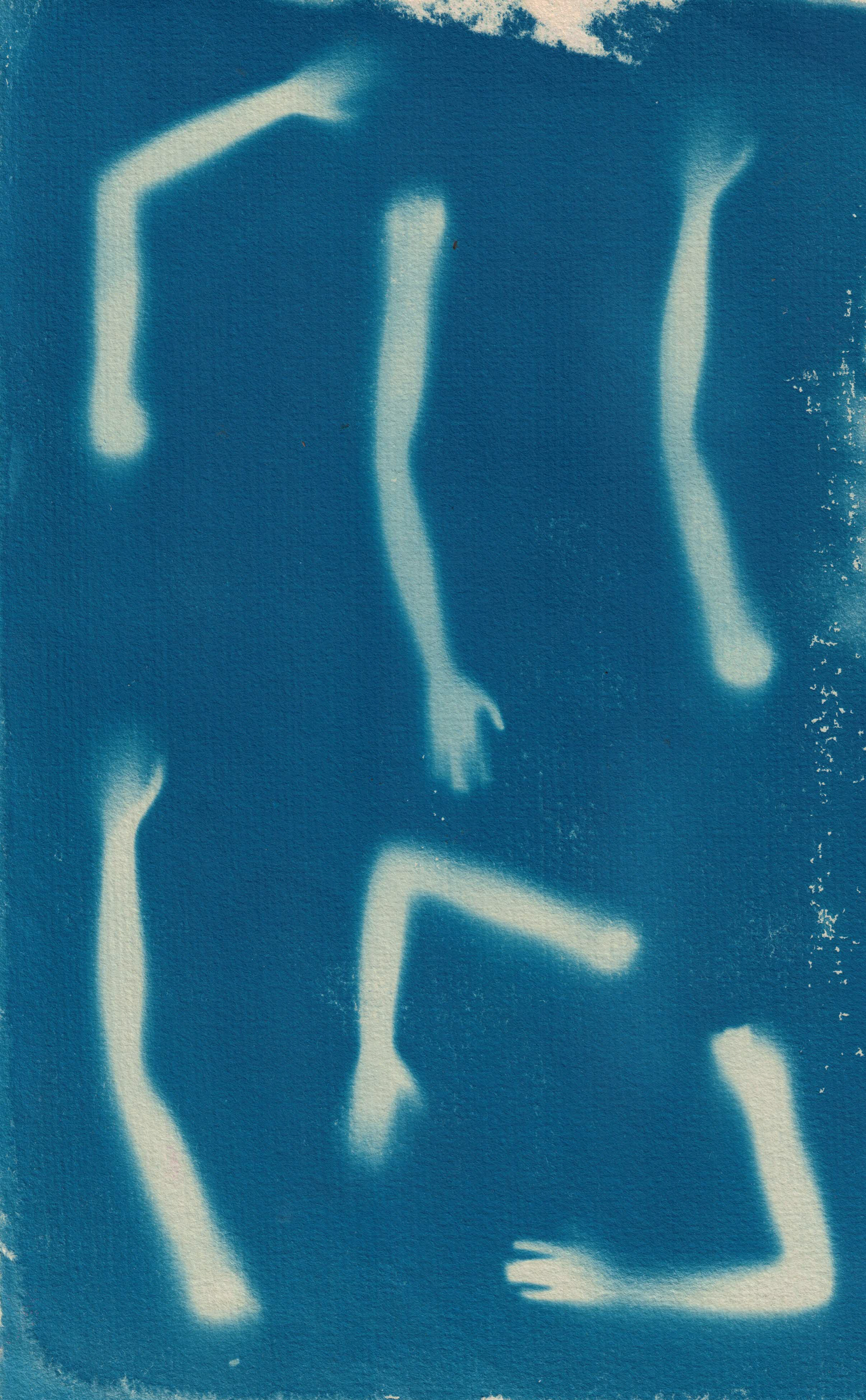 Arms cyanotype