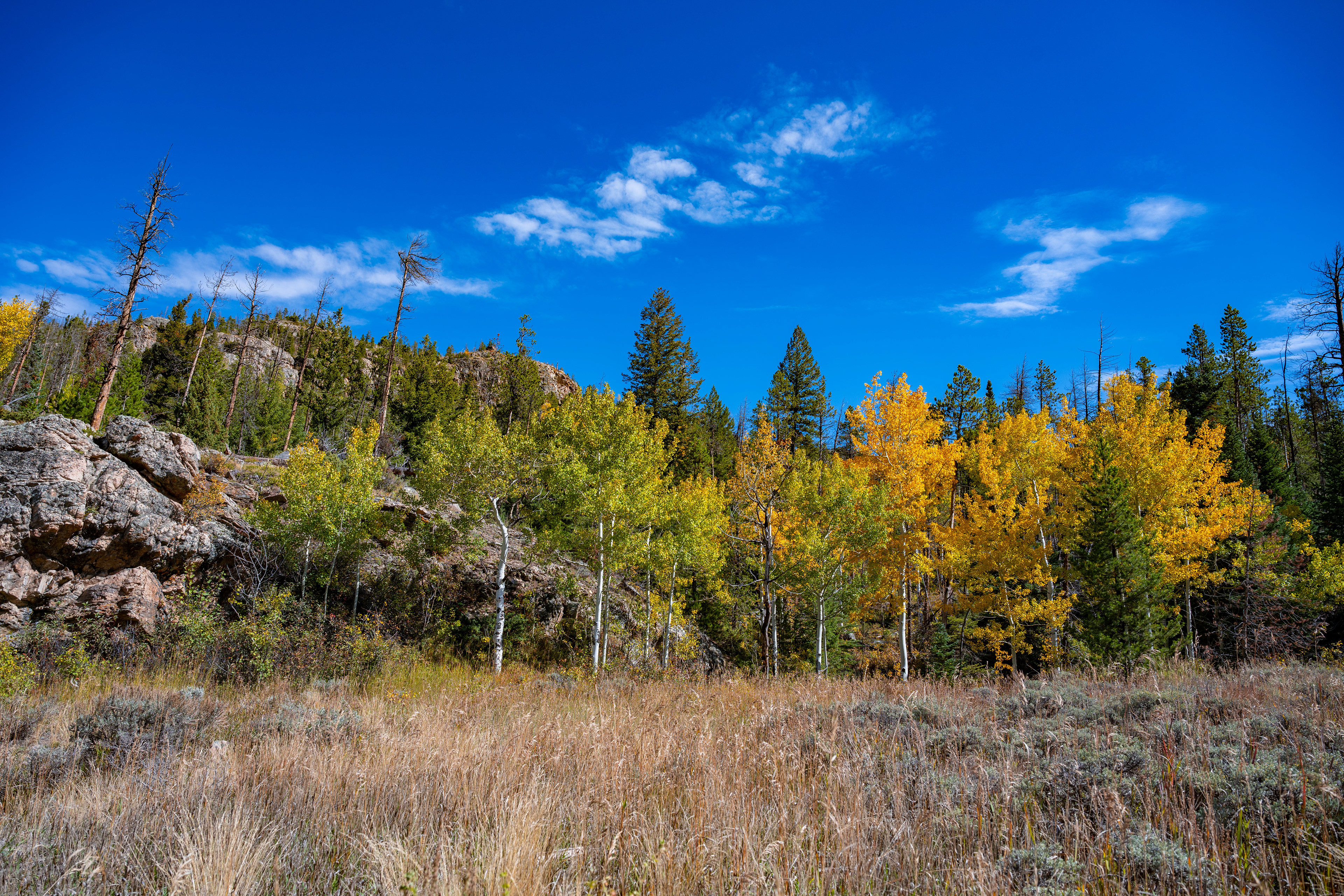 Adams Fall Trail, Grand Lake, CO