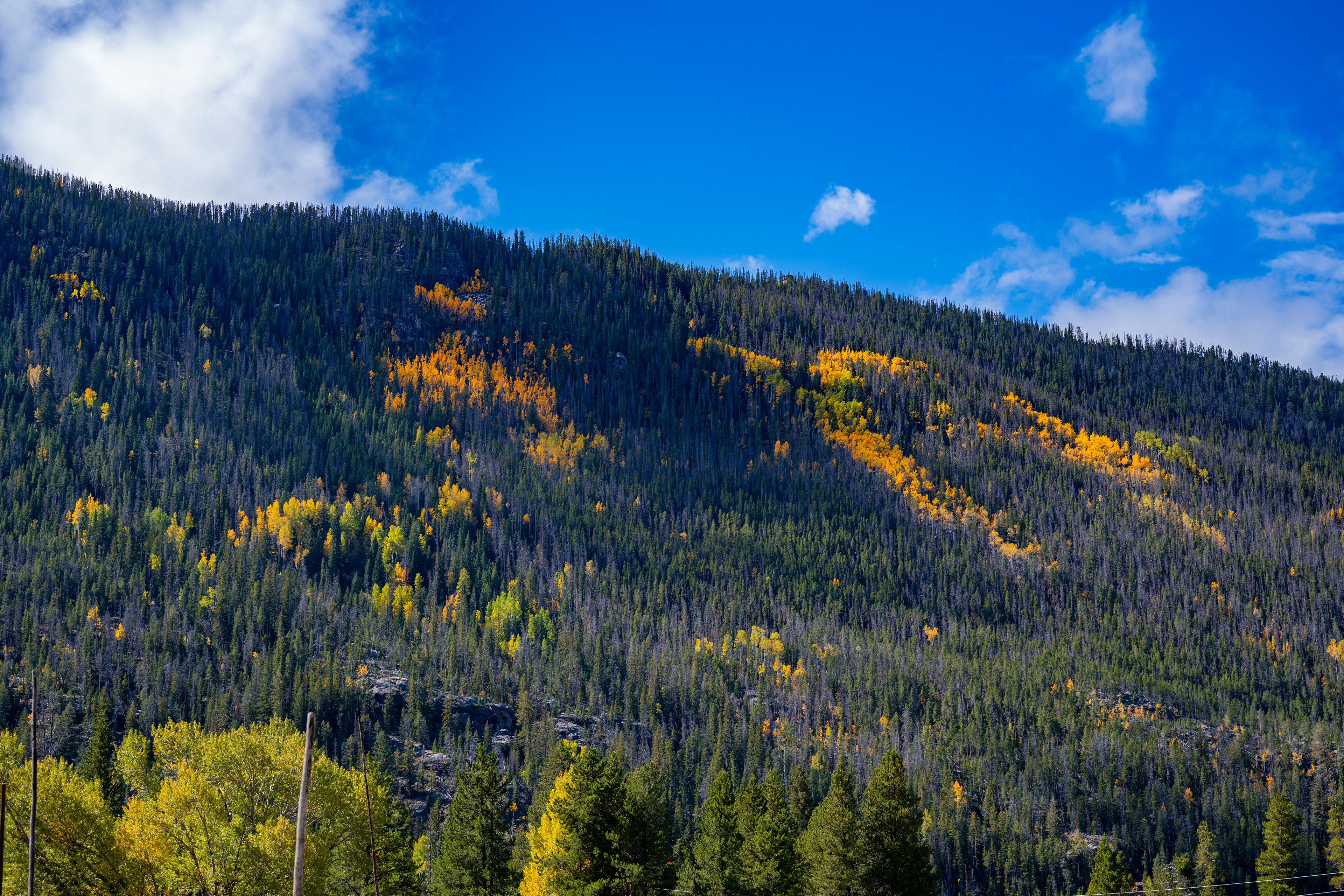 Adams Fall Trail, Grand Lake, CO
