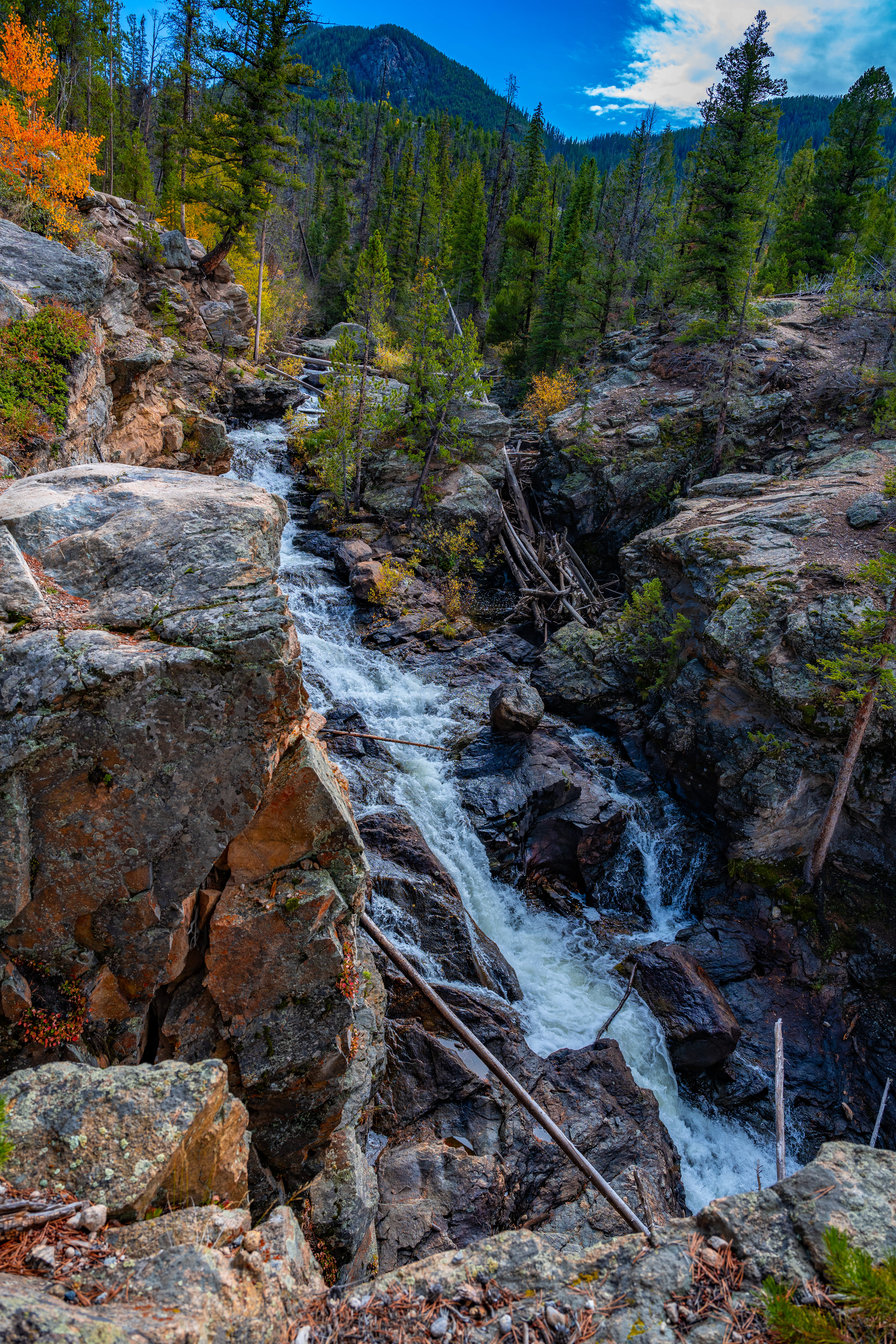 Adams Fall Trail, Grand Lake, CO