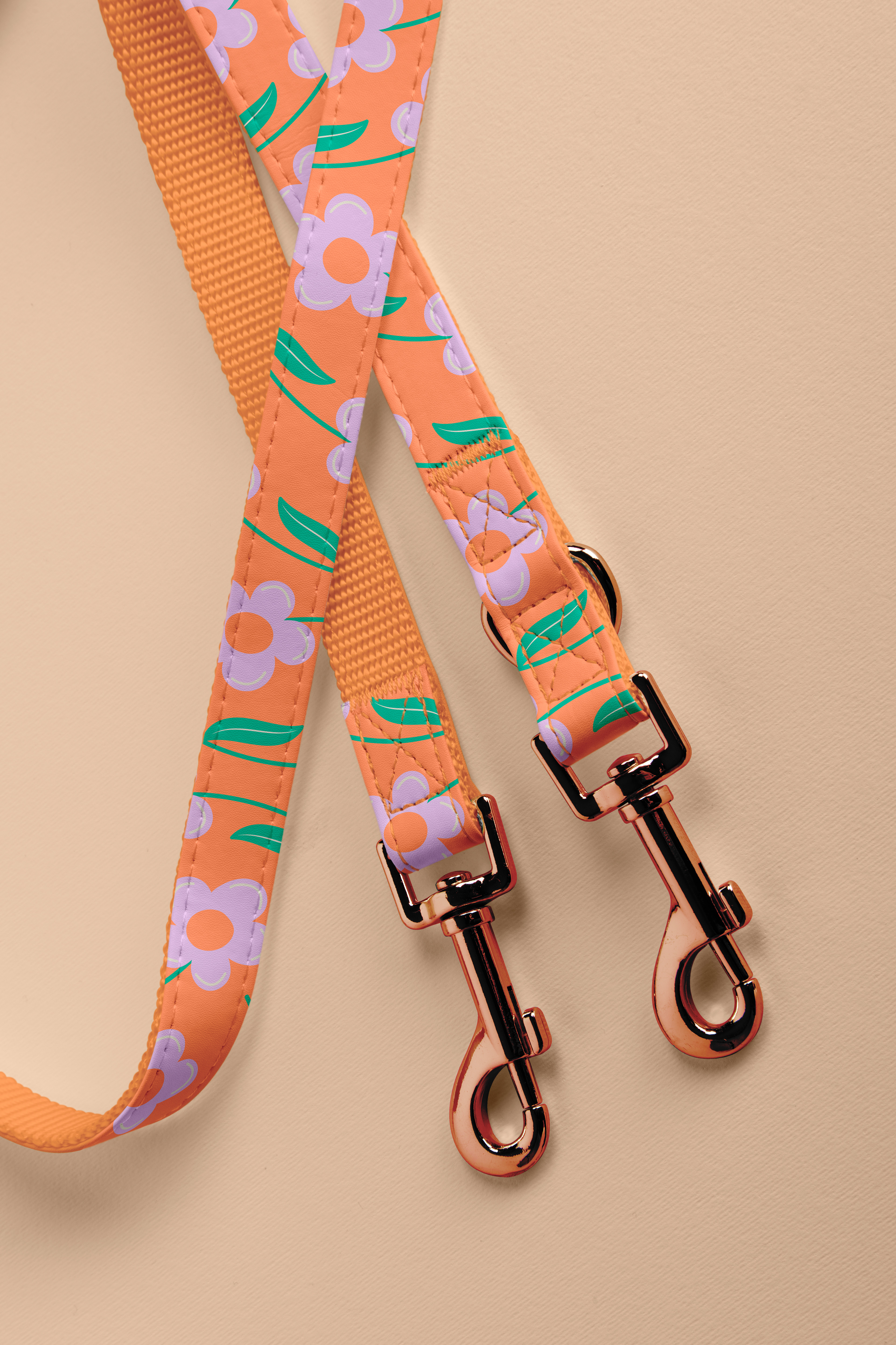 Illustraton d'un motif floral pour une laisse.