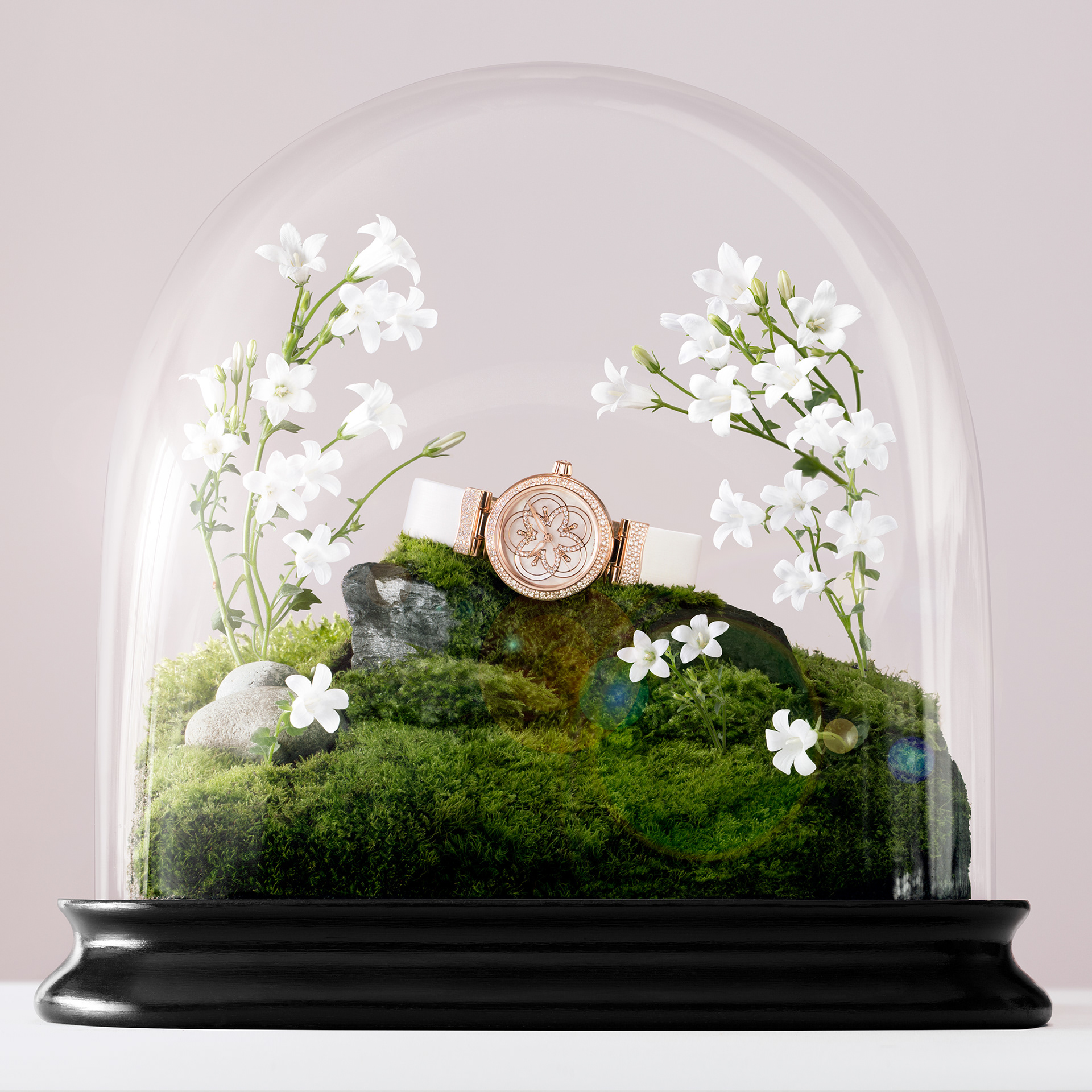 #ImagineOMEGA : Natural beauty blooming. OMEGA watch : De Ville Ladymatic