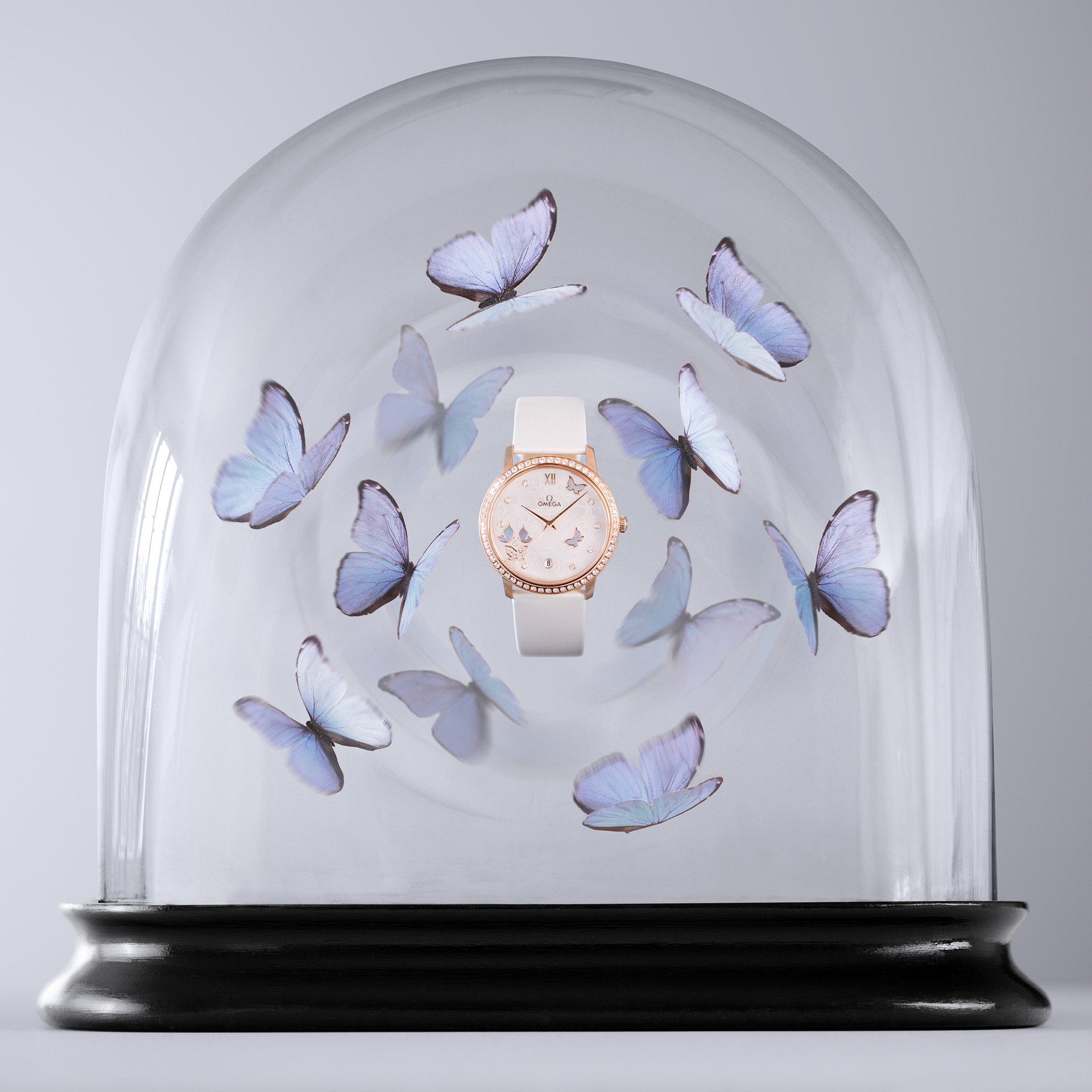 #ImagineOMEGA: A flutter of activity. OMEGA watch: De Ville Prestige Butterfly