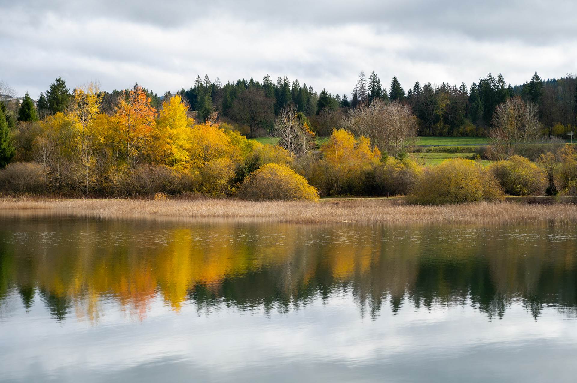 2025.11.16 Couleur d'automne