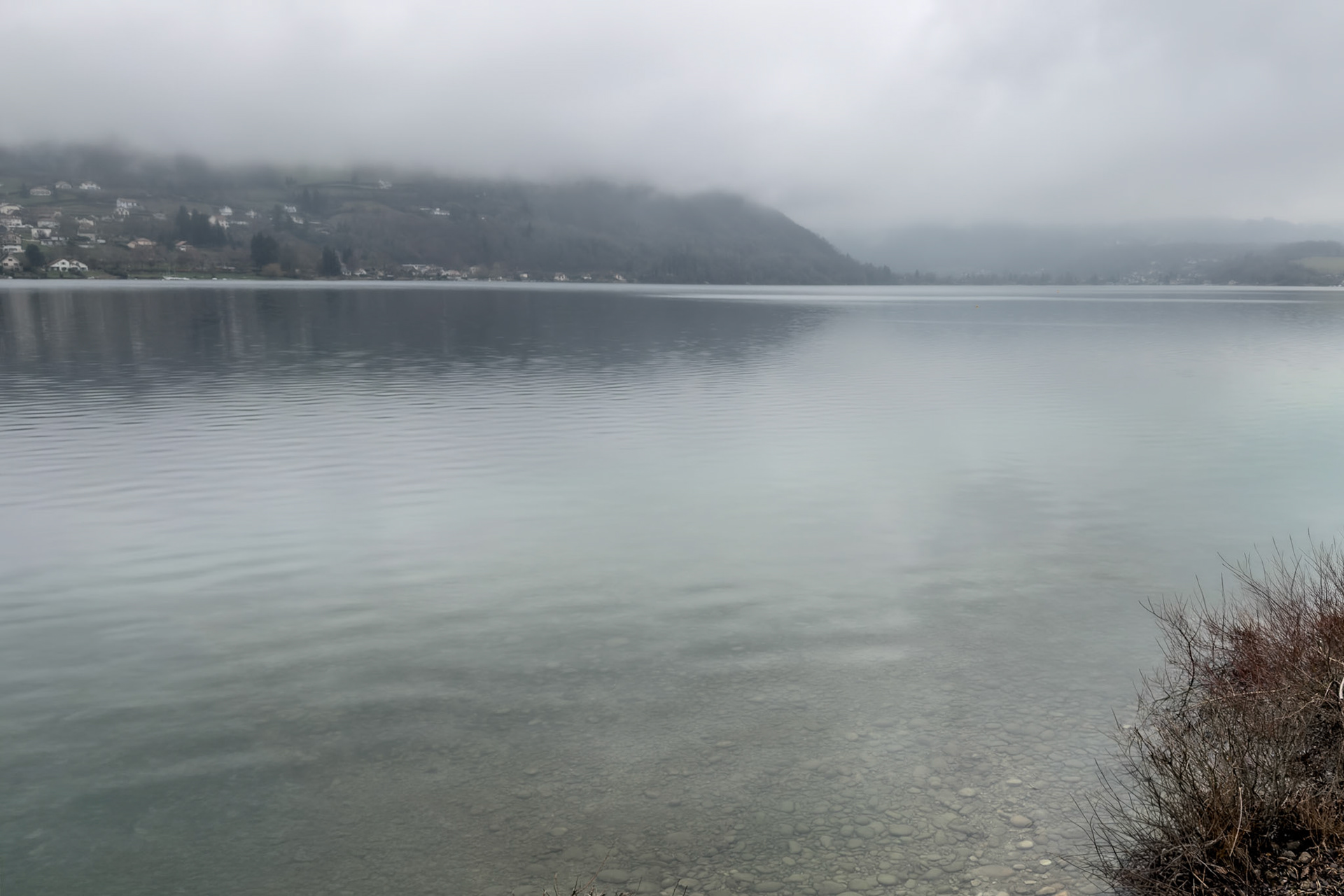Nuance de gris