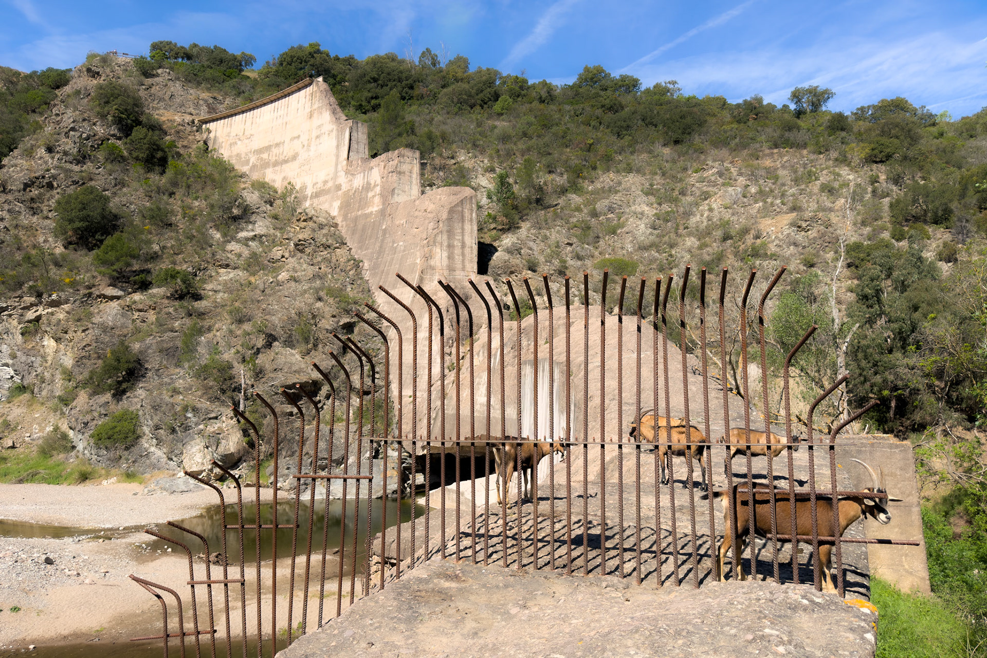 Terrain de jeu pour les biquettes