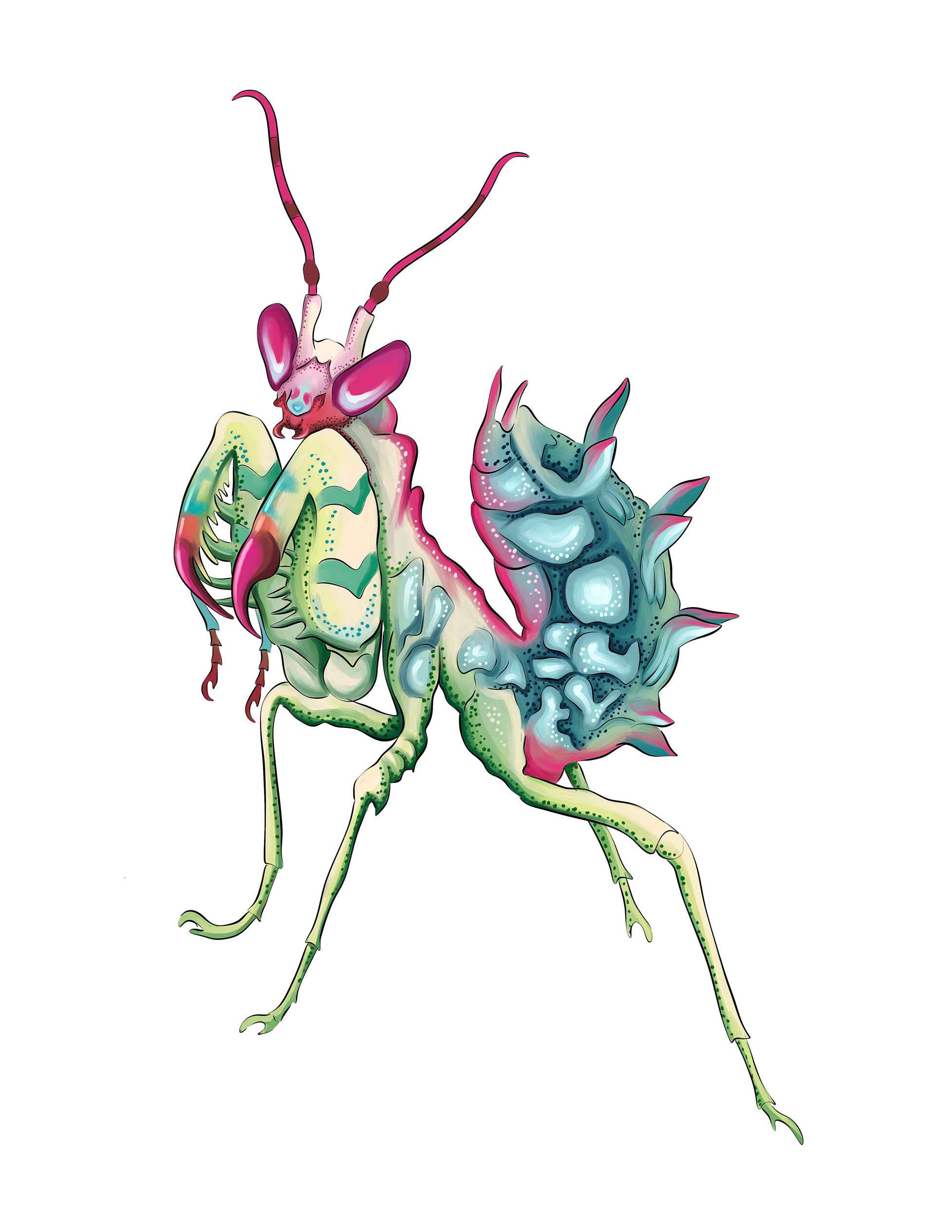 Mantis illustration by Ola Maslyk