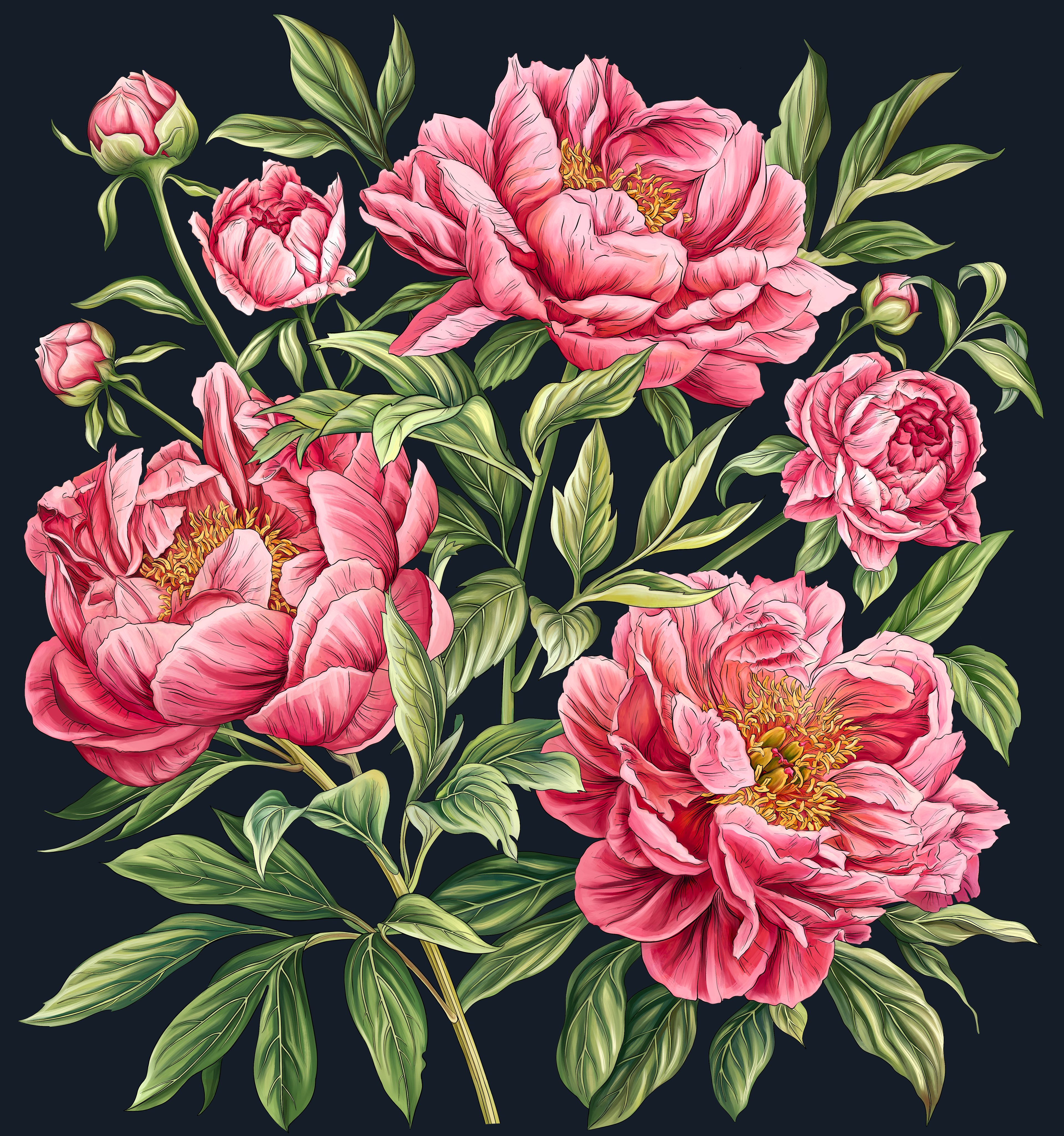 Elegant hand-drawn illustration of peonies showcasing intricate floral details, perfect for luxury decor and custom botanical projects.