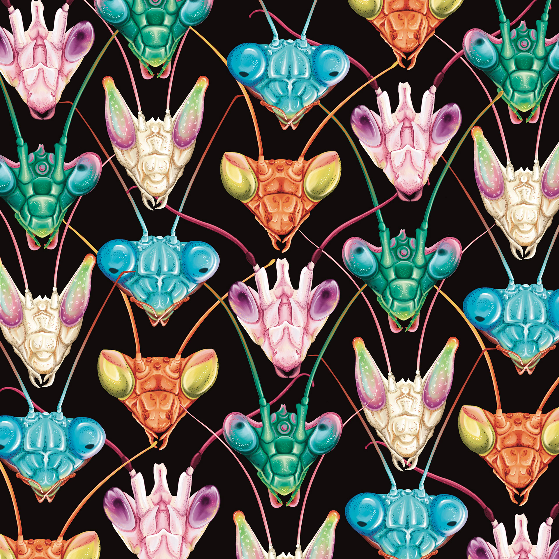 Pattern illustration of mantises by Ola Maslyk