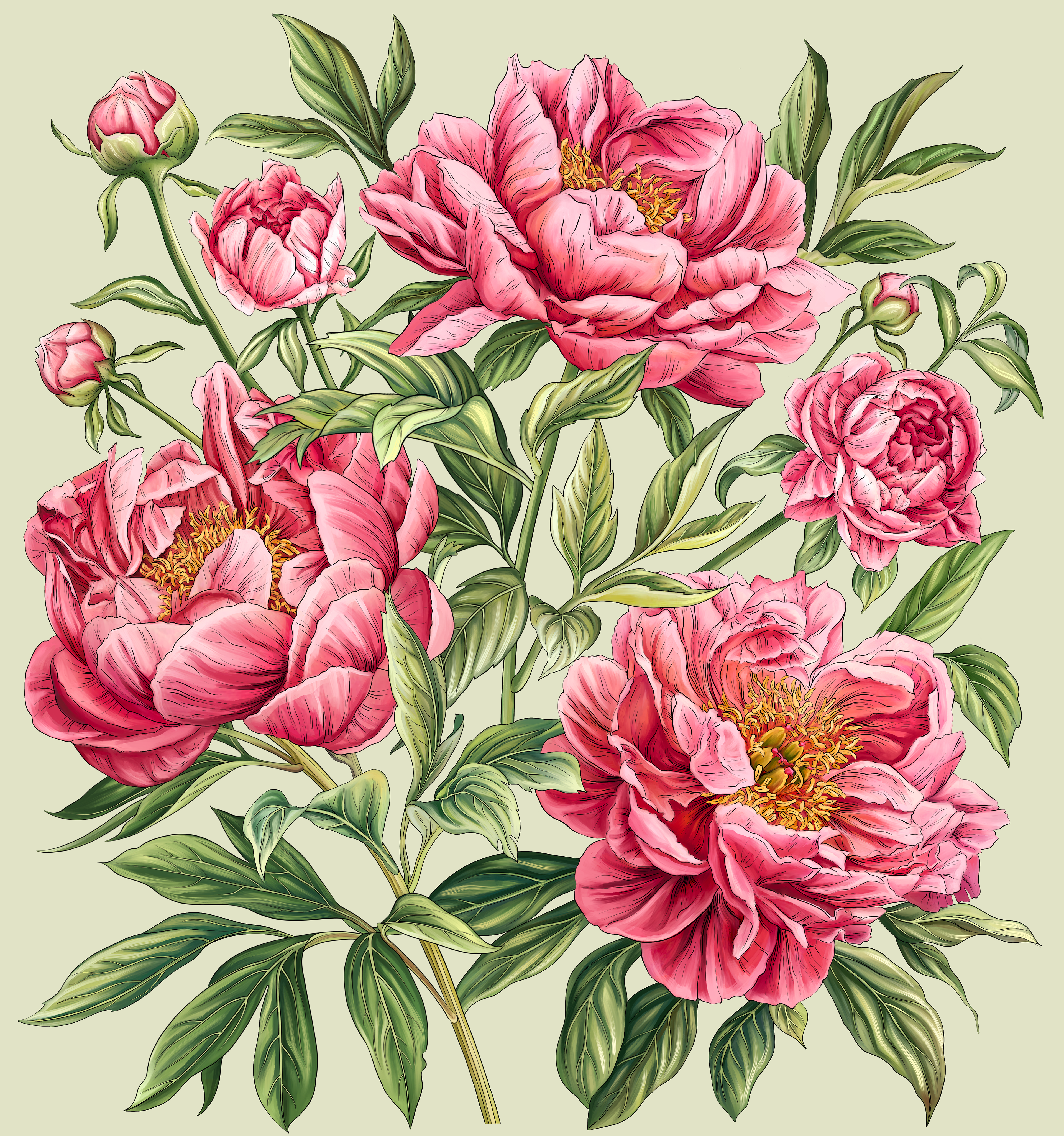 Hand-drawn botanical illustration of blooming peonies with detailed petals and lush textures, ideal for wallpaper and interior design.