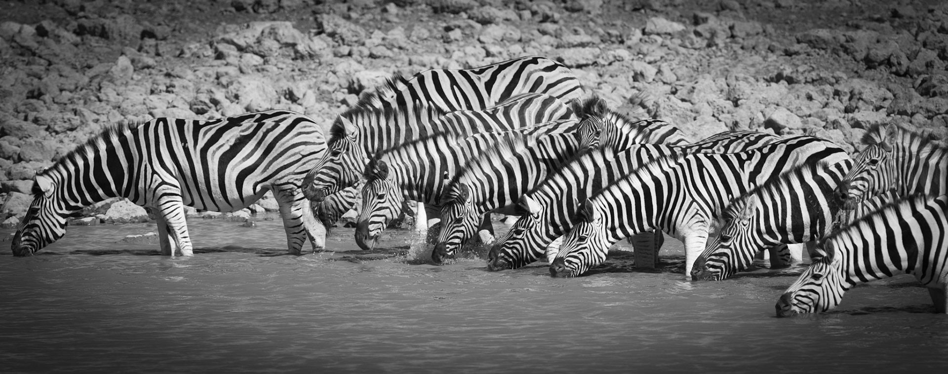 "Thirst"