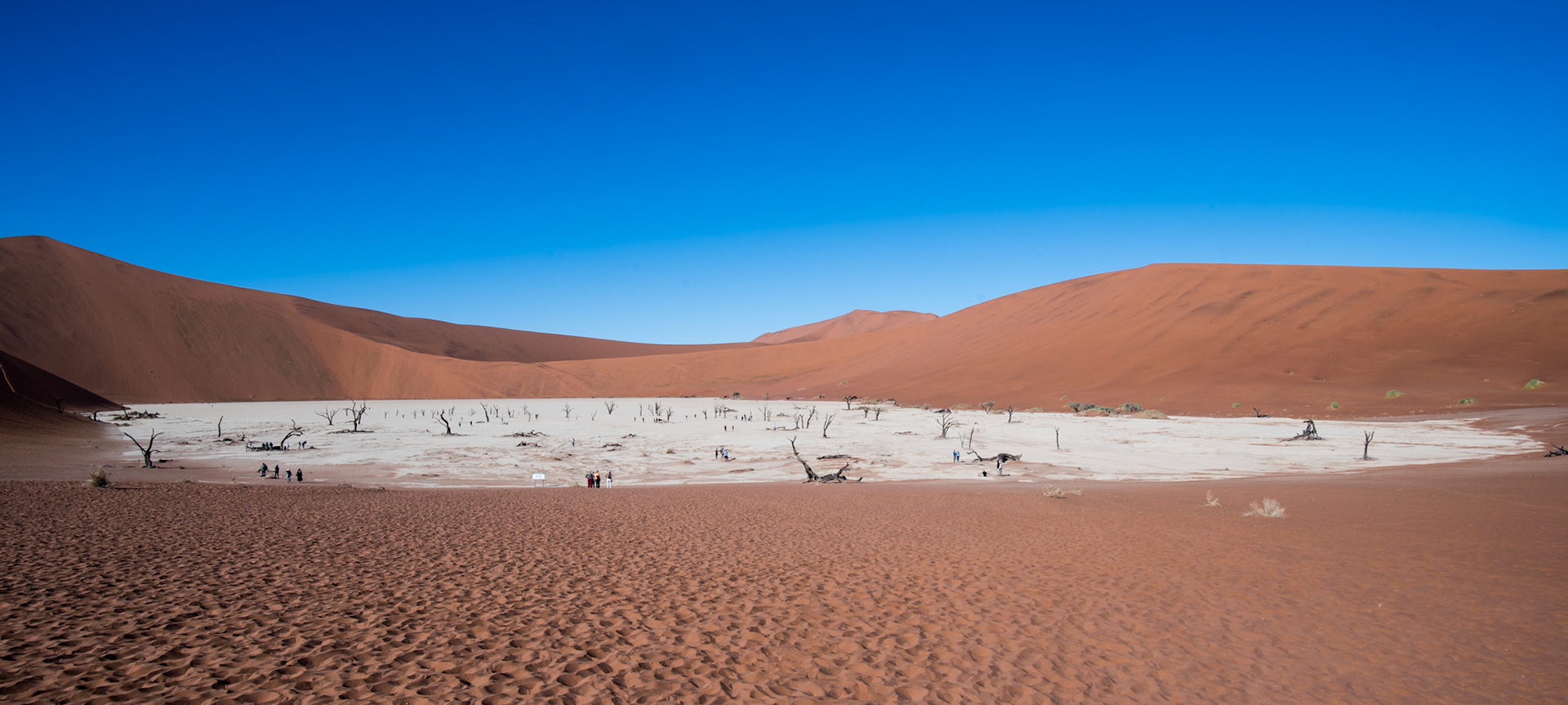 "Deadvlei"