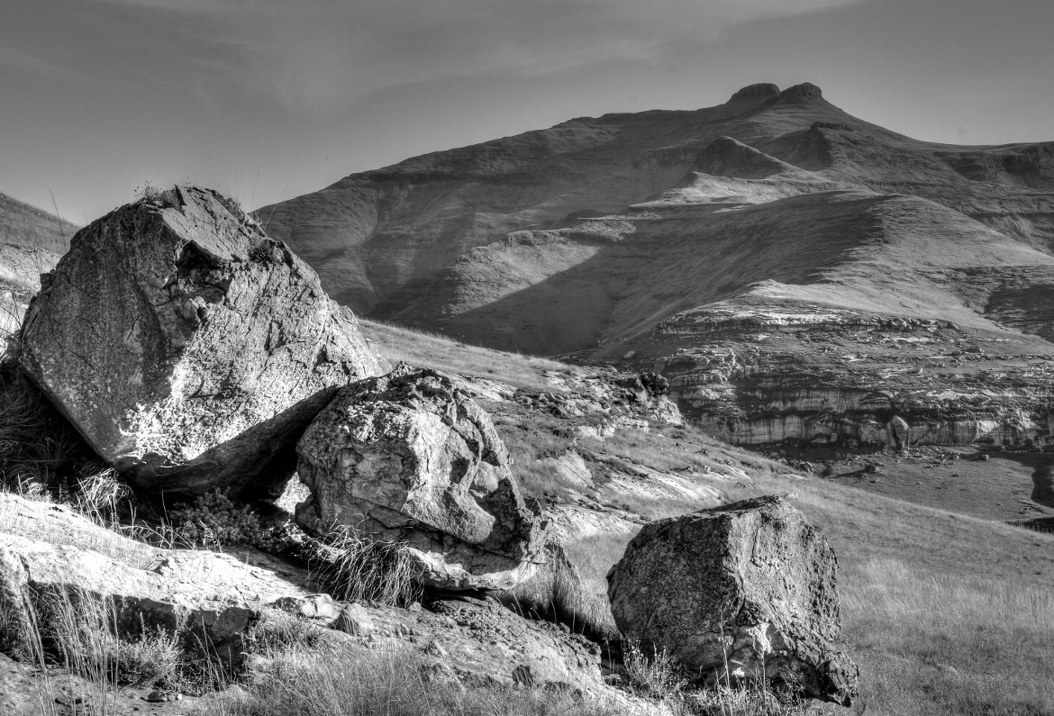 "Golden Gate Landscape"