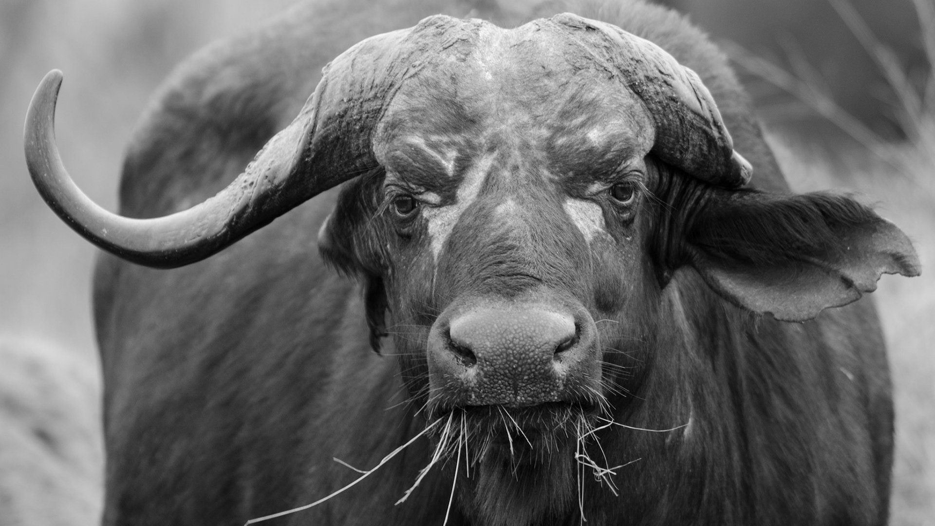 "Life out of Balance"