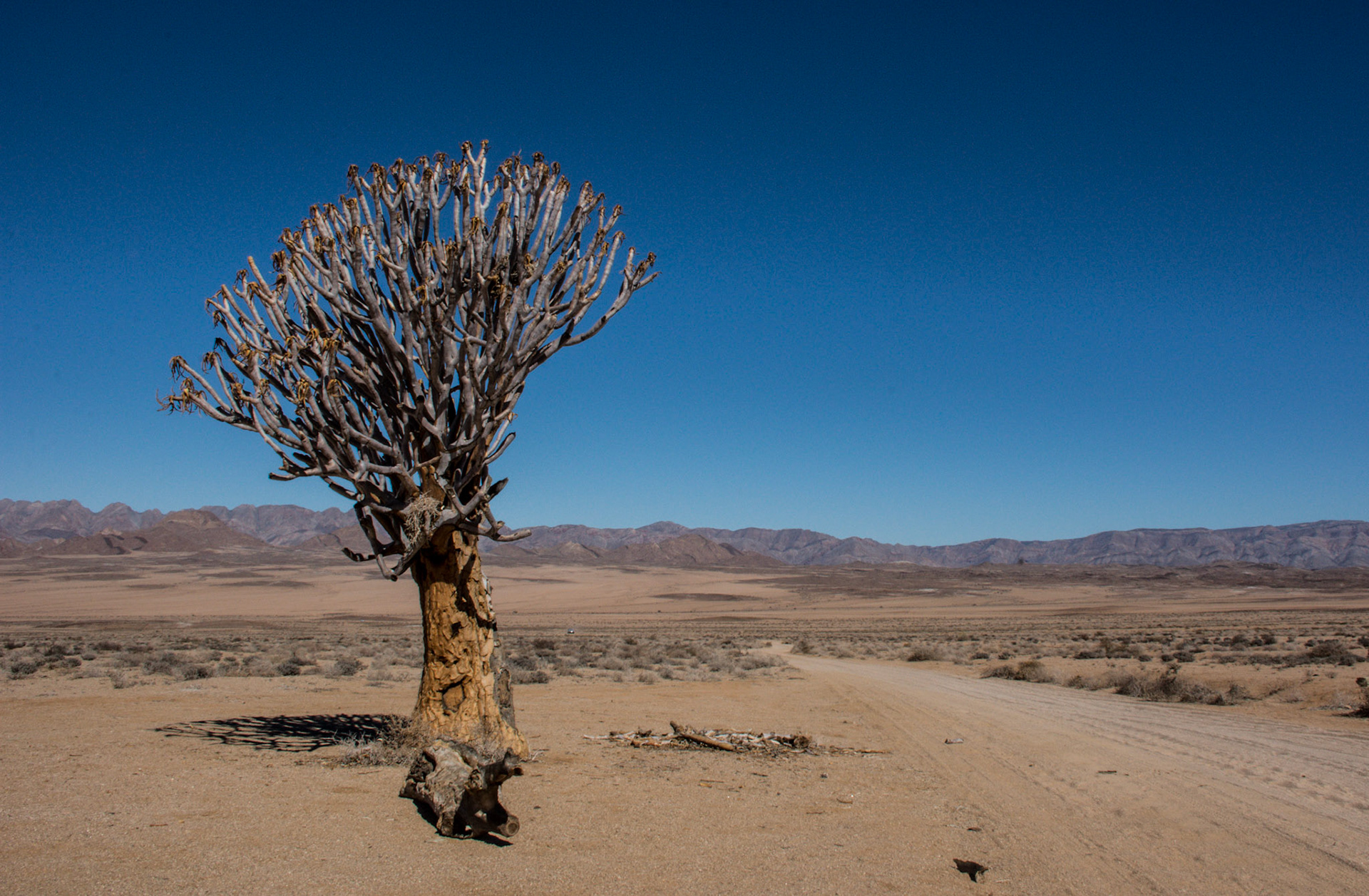 "Daar was Koker's....."