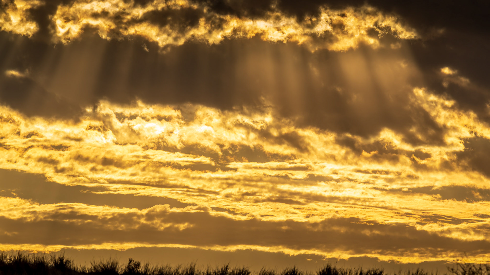 "God Rays"