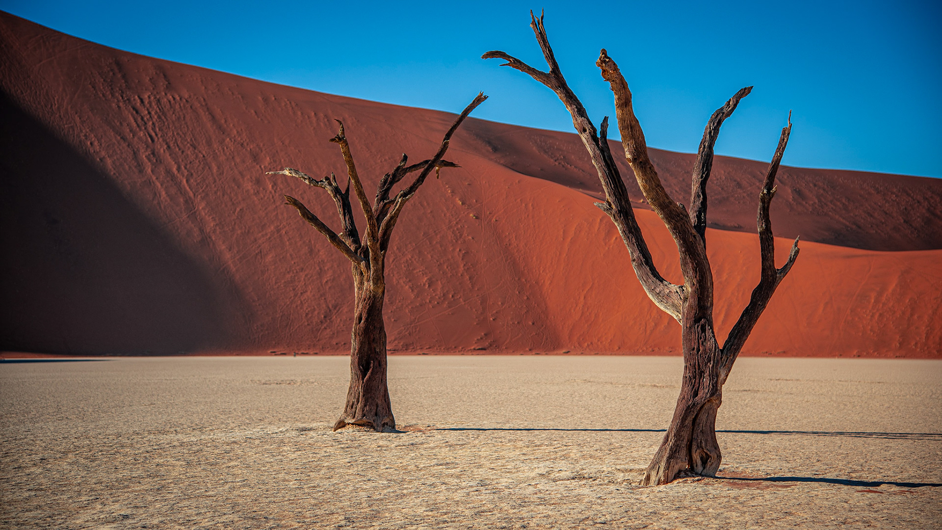 Deadvlei Twins