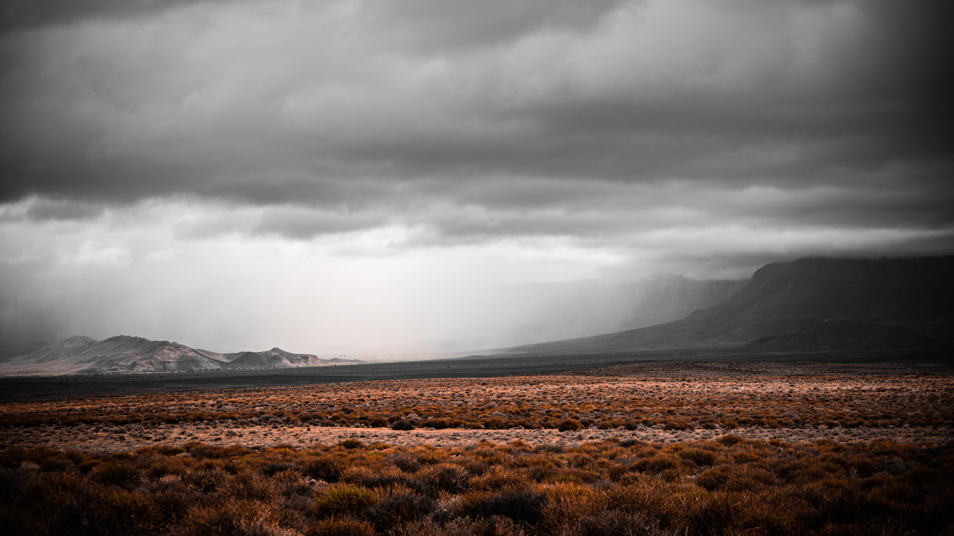 "Karoo Landscape"