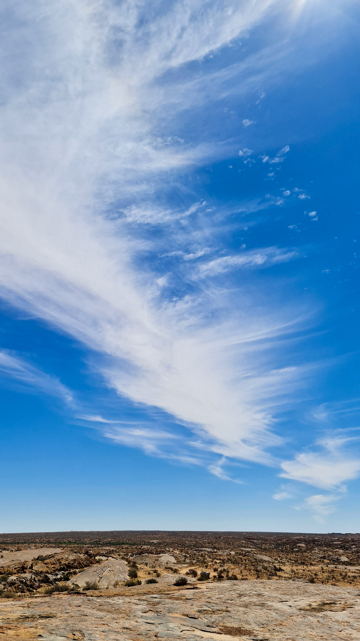 "In the Cloud"