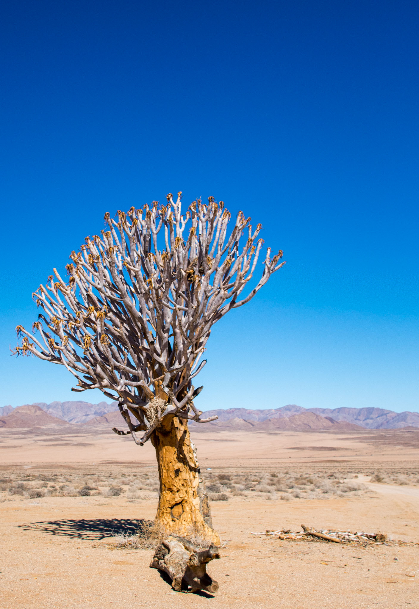 "Time is running out"