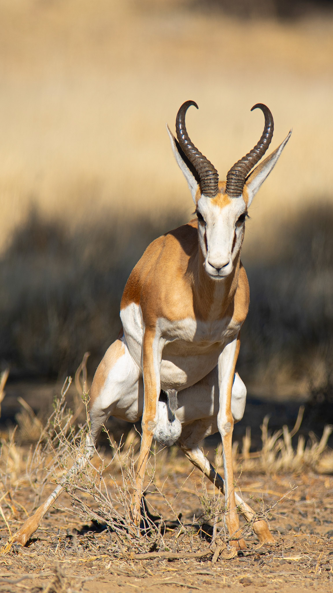 "Caught with his pants down"