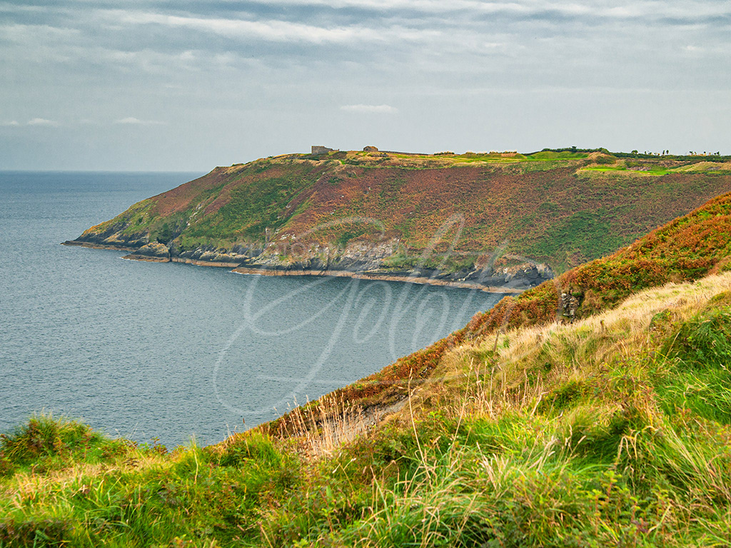 Old Head